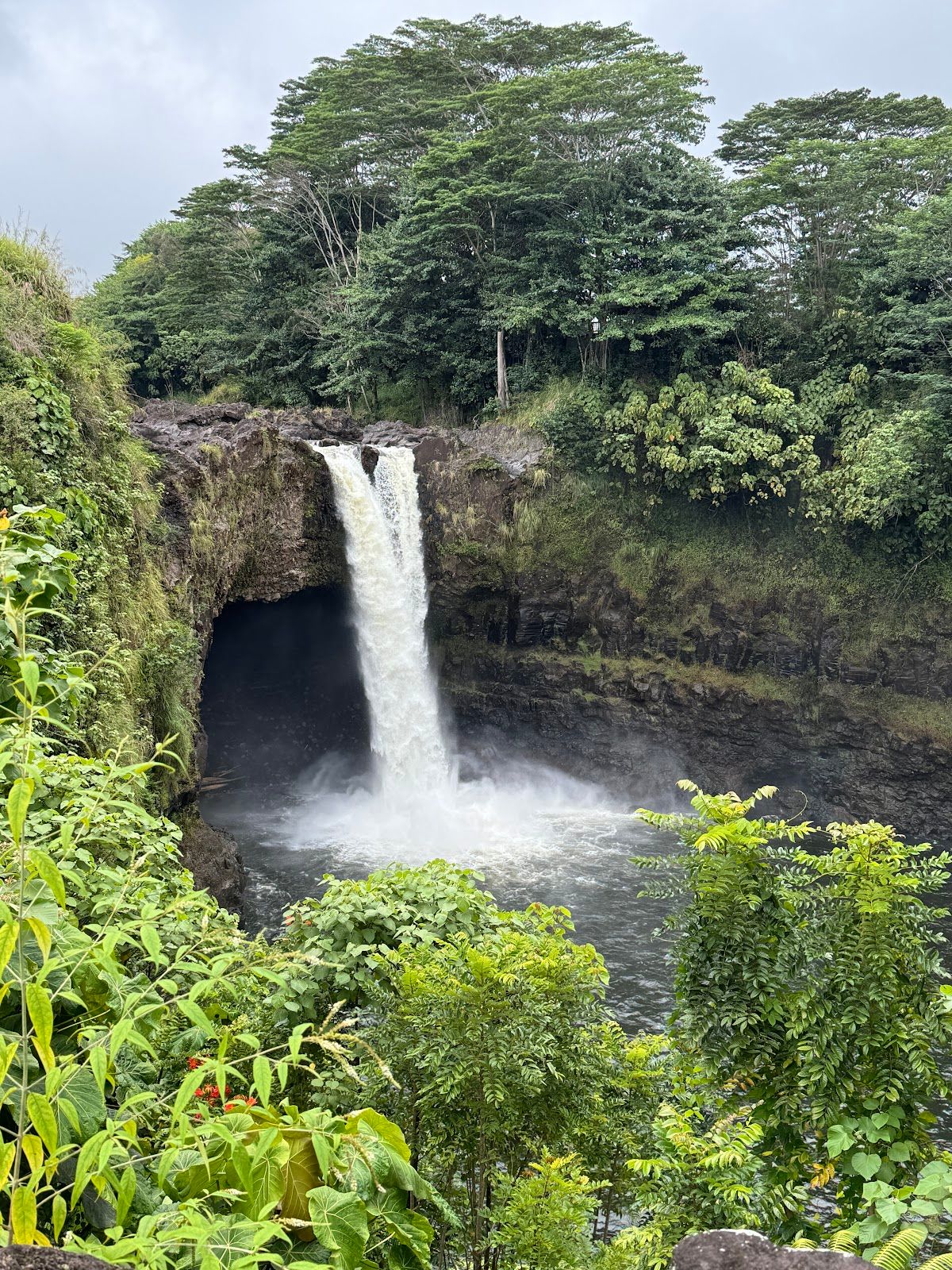 Photo 5 of Polynesian Adventure Tours in Hilo, Big Island