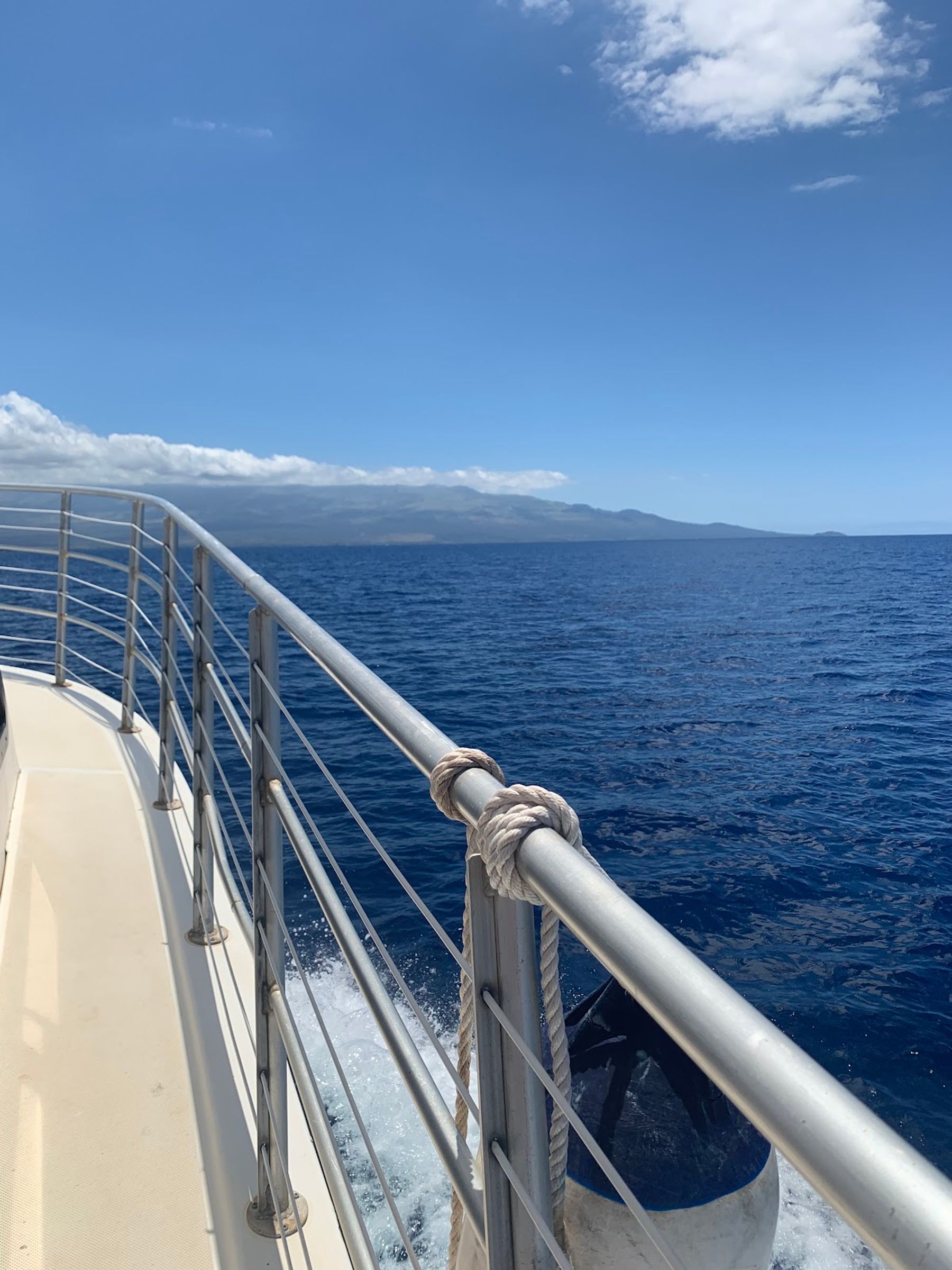 Photo 3 of Aqua Adventures in Māʻalaea, Maui