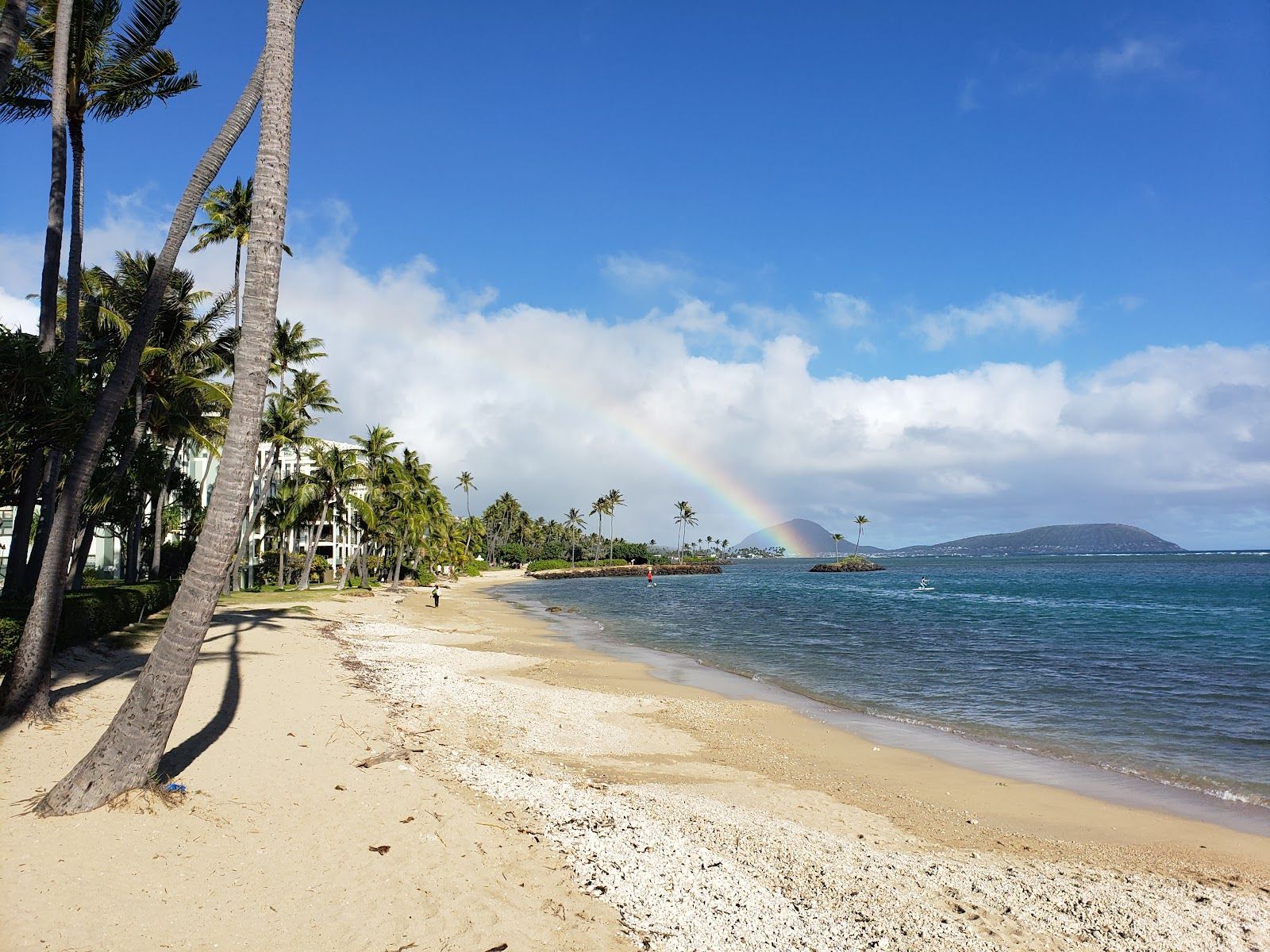 Photo 7 of Waiʻalae Beach Park in Kahala & Waialae, Oahu