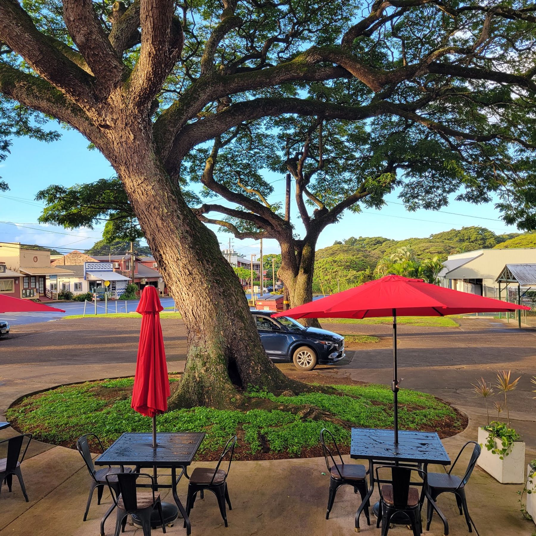 Photo 10 of Dark Horse Coffee Roasters in Kōloa, Kauai