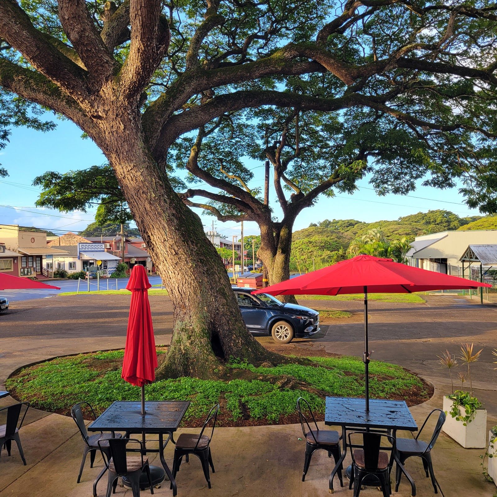 Photo 10 of Dark Horse Coffee Roasters in Kōloa, Kauai