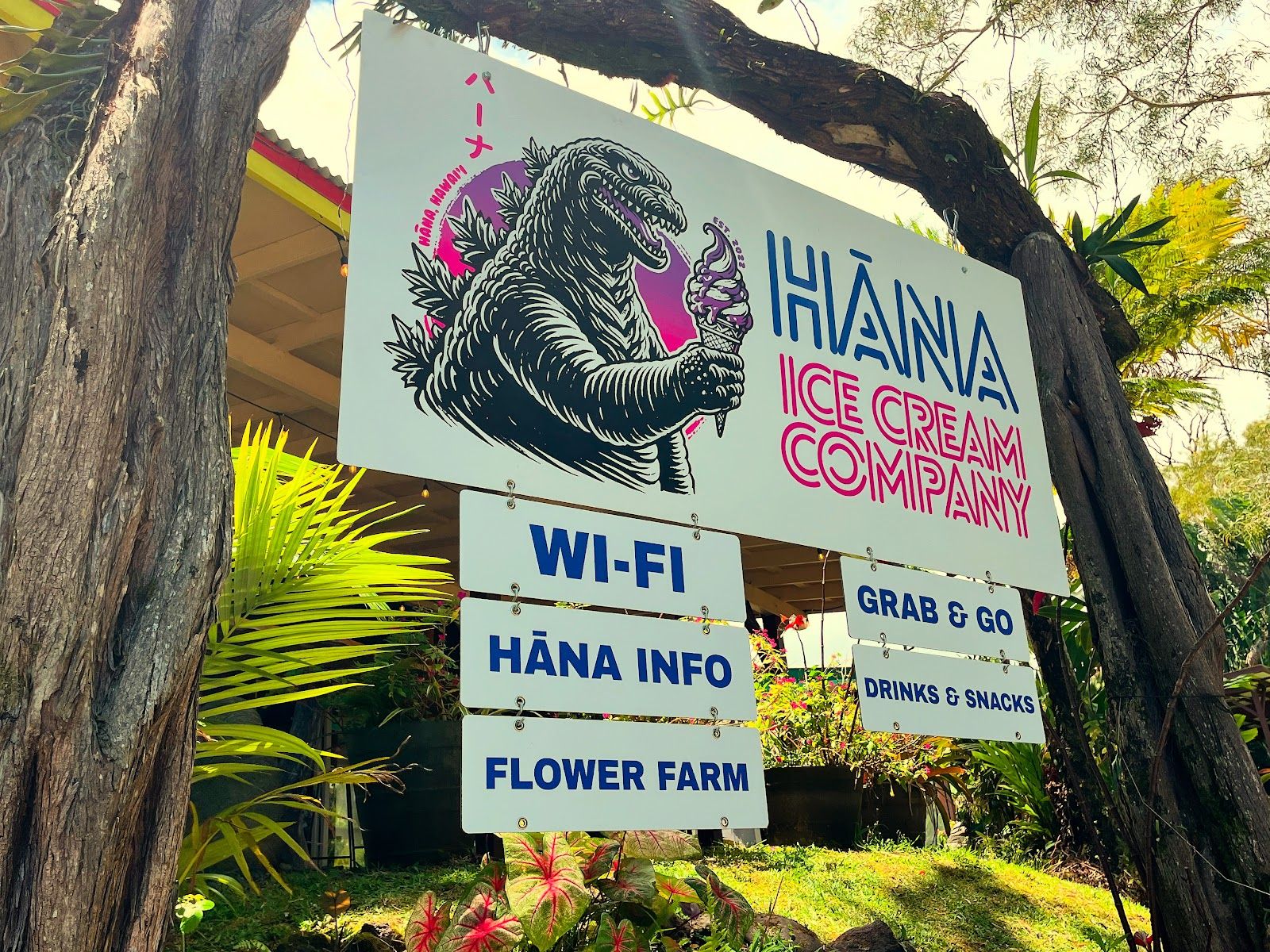 Photo 8 of Hāna Ice Cream Company in Keʻanae-Nāhiku, Maui