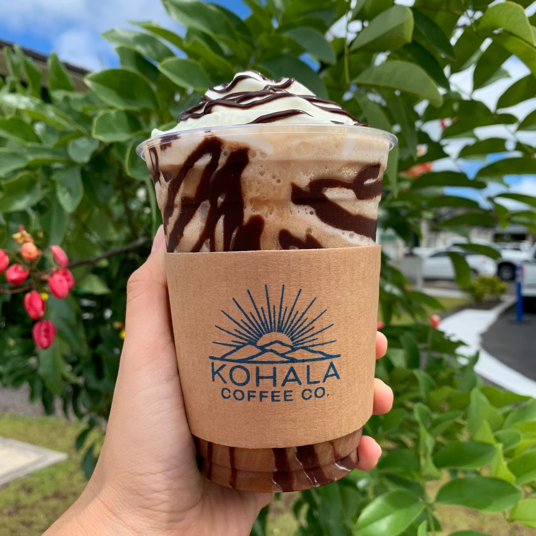 Photo 9 of Kohala Coffee Co. in Waikoloa, Big Island