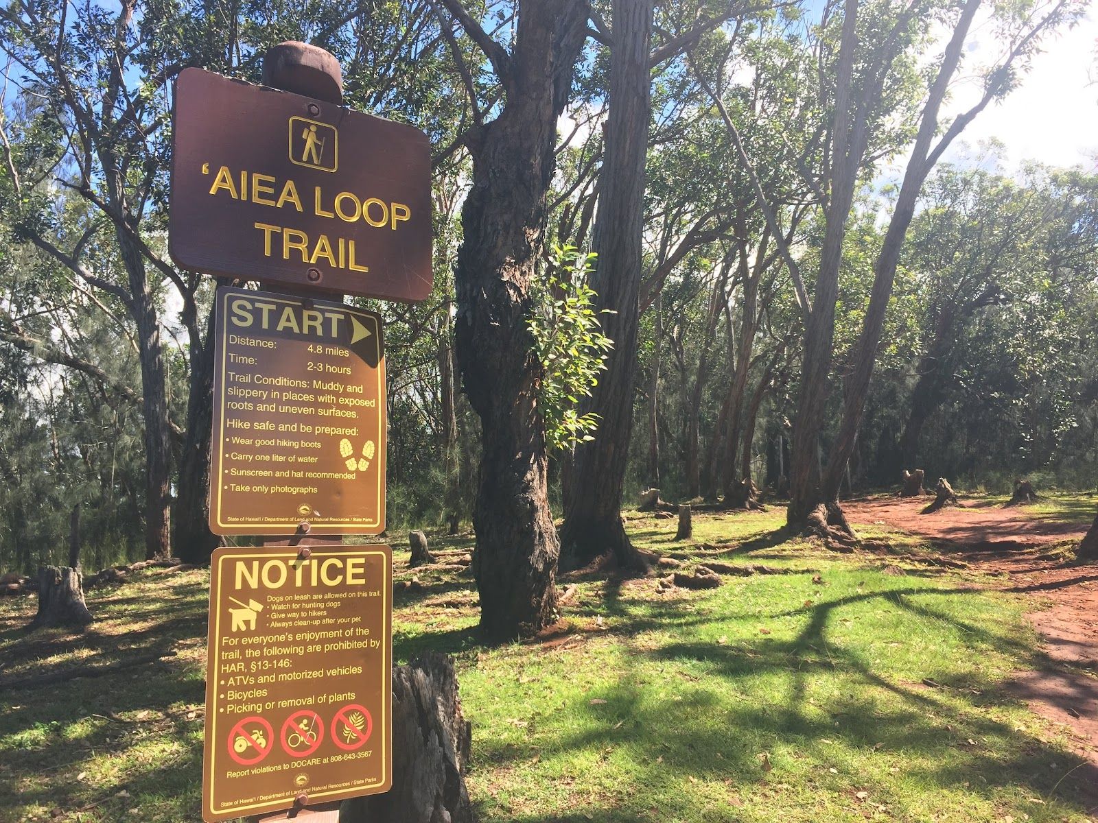 Photo 5 of Keaīwa Heiau State Recreation Area in Pearl Harbor & ʻAiea, Oahu