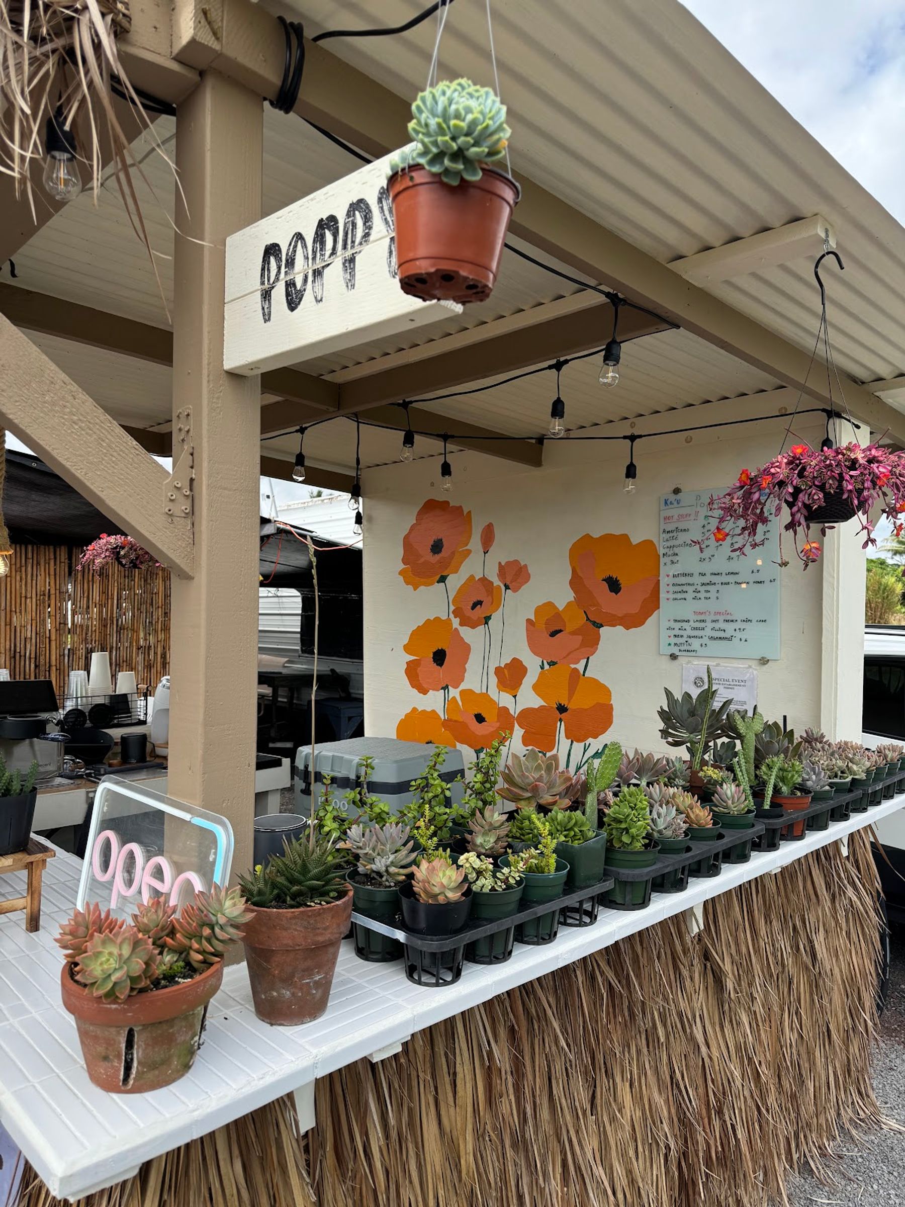 Photo 1 of Poppy's in Pāhoa, Big Island