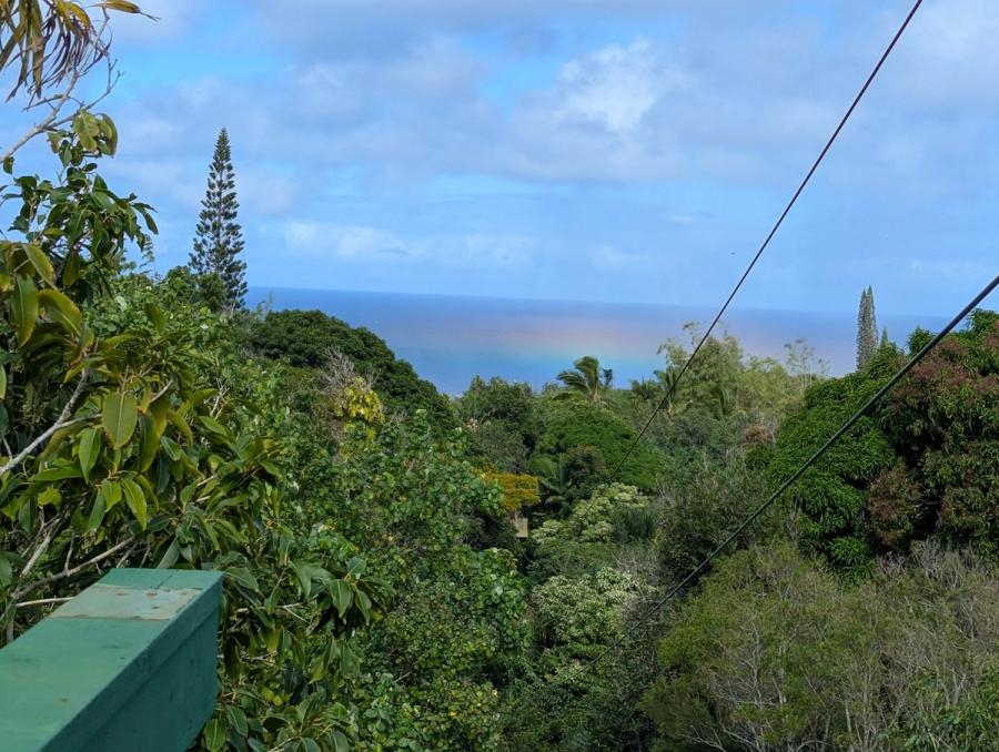 Photo 1 of Jungle Zipline Maui-HI in Haʻikū, Maui