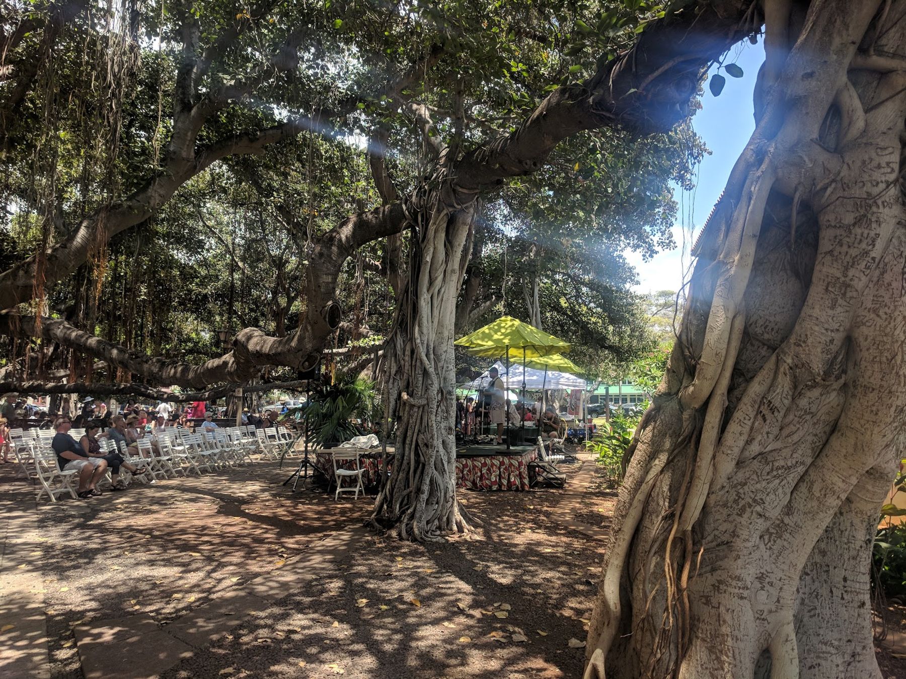 Photo 8 of Lahaina Cruise Company in Lāhainā, Maui