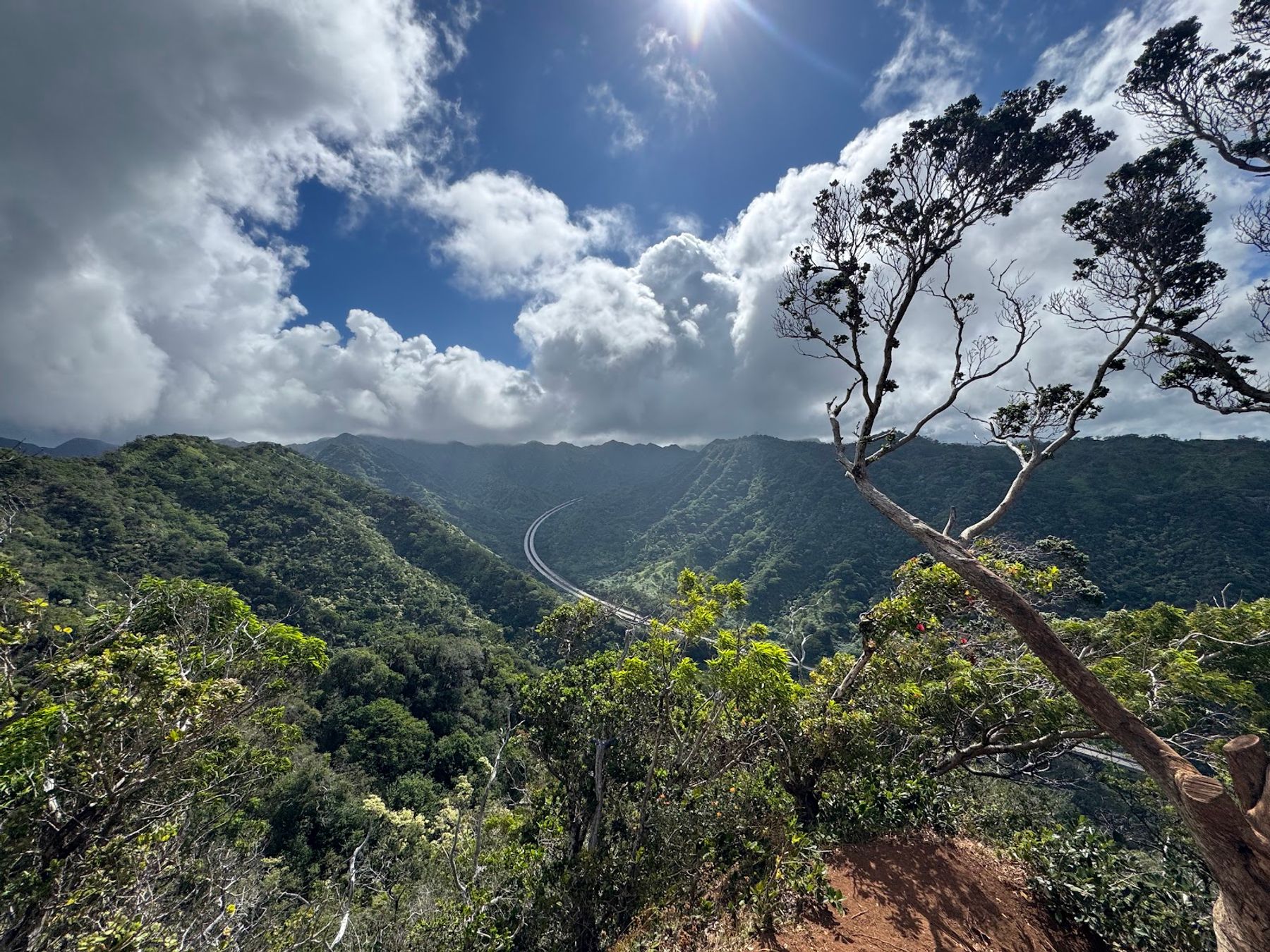 Photo 1 of ʻAiea Loop Trailhead in Pearl Harbor & ʻAiea, Oahu