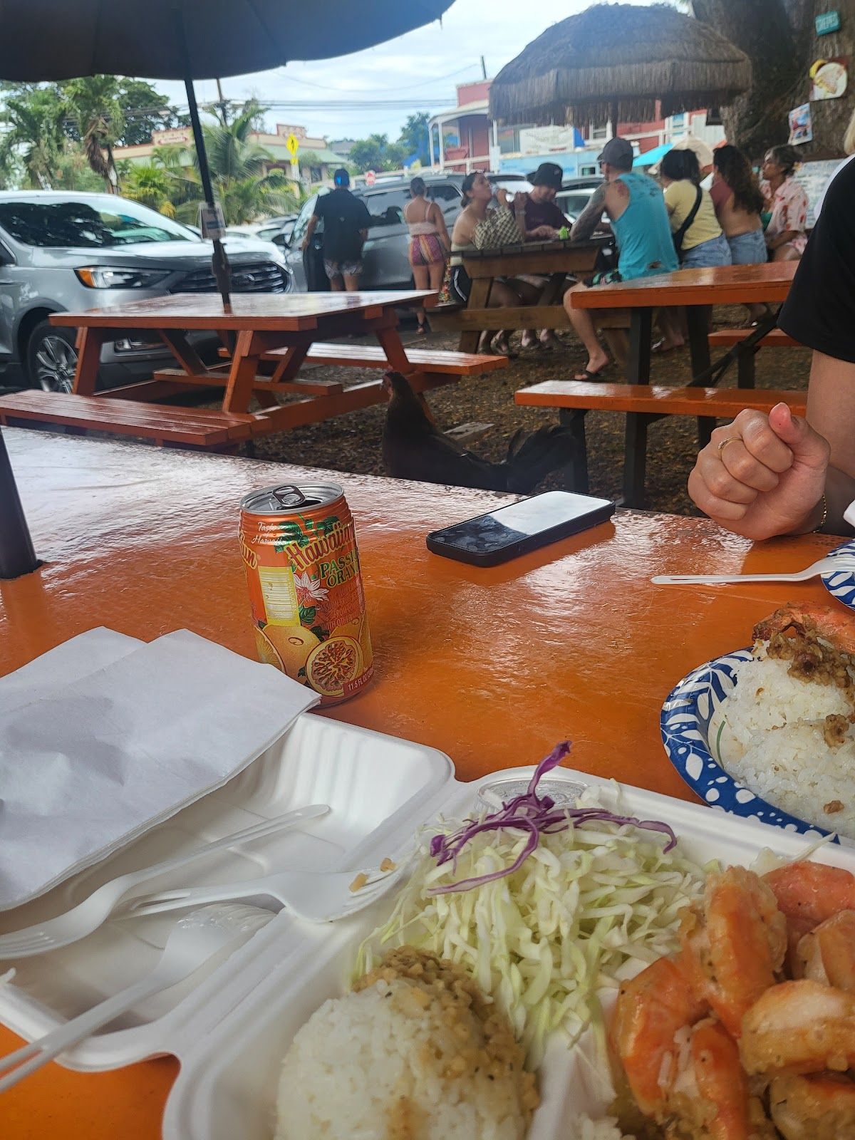 Photo 10 of HONOS Shrimp Truck in Haleʻiwa, Oahu