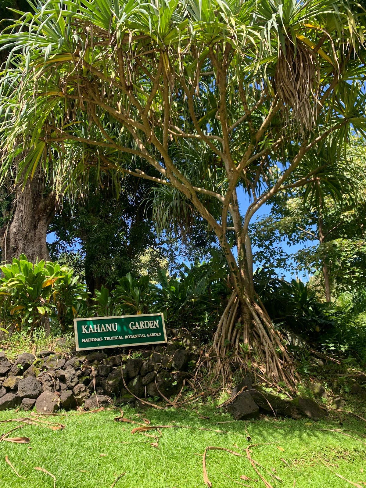 Photo 6 of Kahanu Garden, National Tropical Botanical Garden in Keʻanae-Nāhiku, Maui