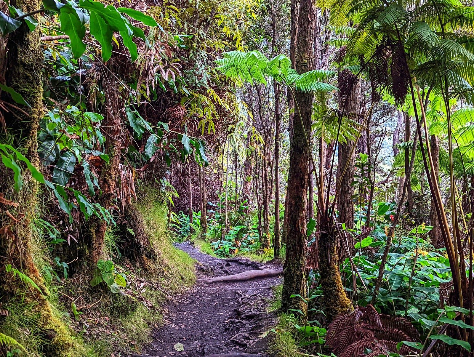 What to Pack for the Big Island’s Microclimates