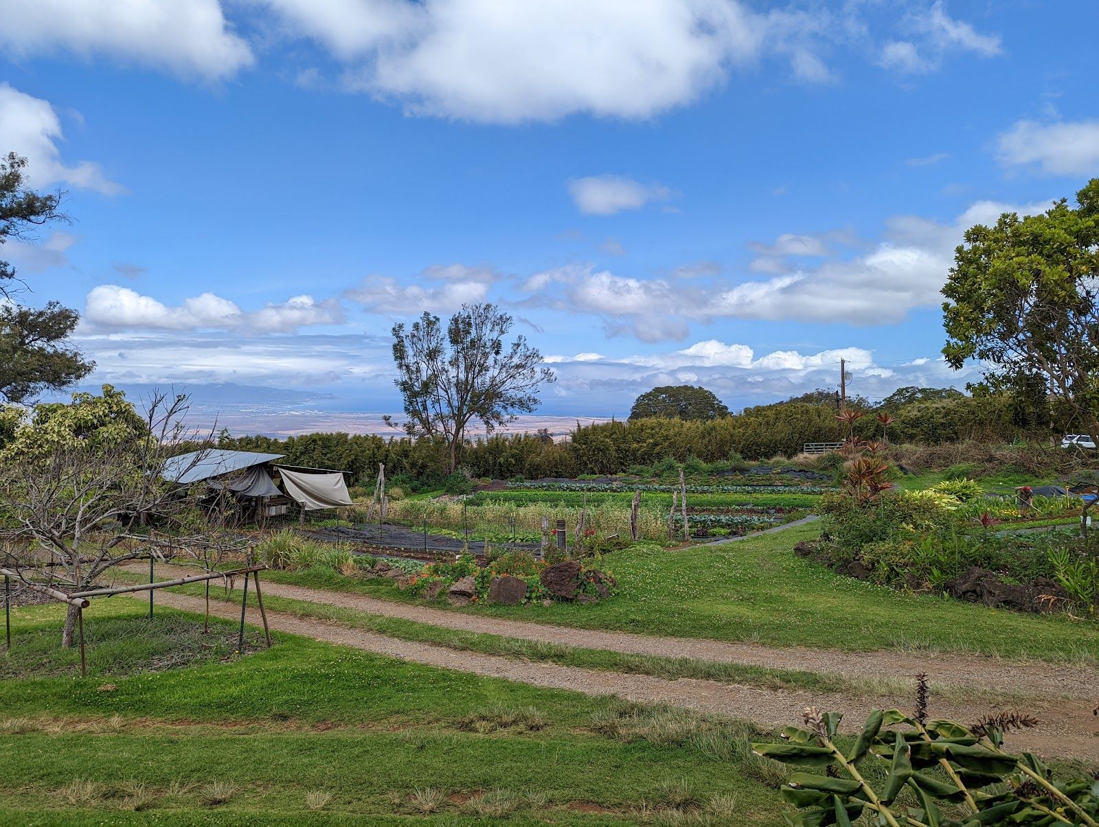 Photo 3 of O'o Farm in Kula, Maui
