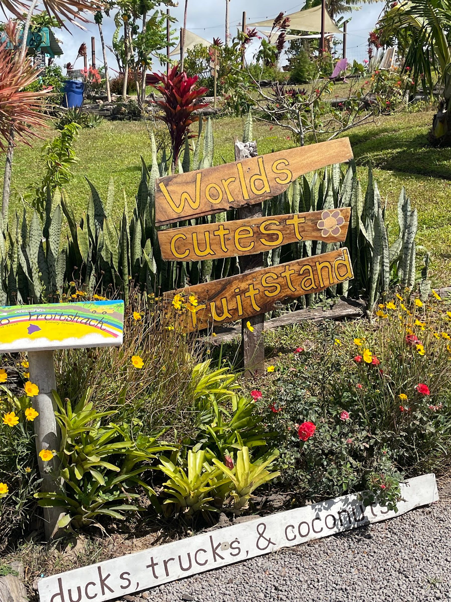 Photo 6 of Waipi'o Fruit Shack in Waipiʻo, Big Island