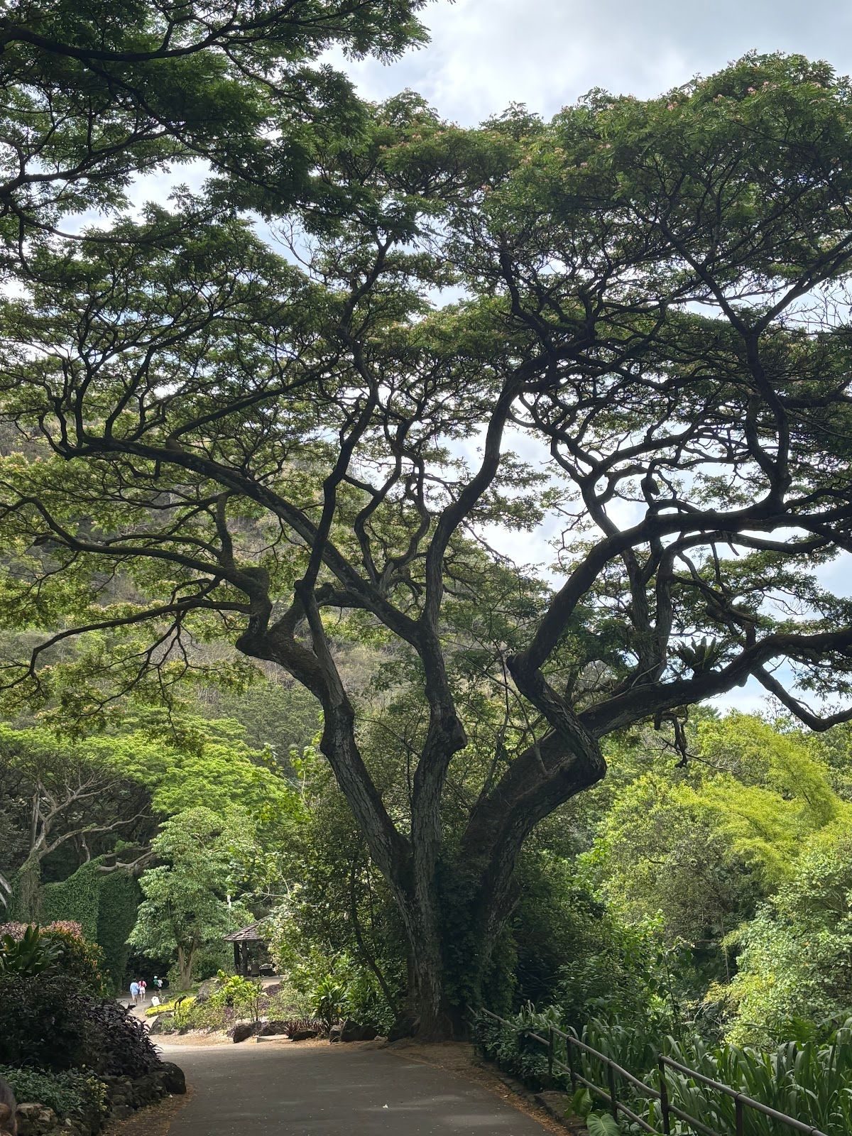 Photo 4 of Oahu Nature Tours in ʻEwa Beach, Oahu