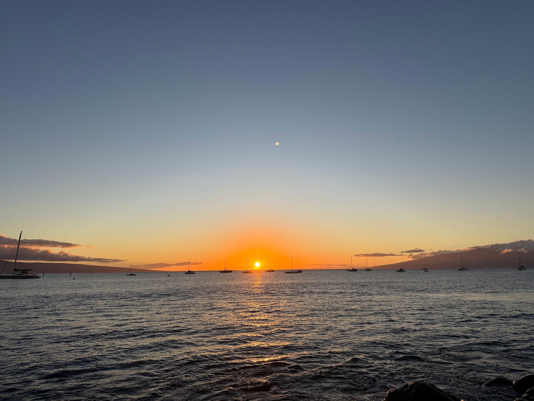 Photo 6 of Mala Ocean Tavern in Lāhainā, Maui