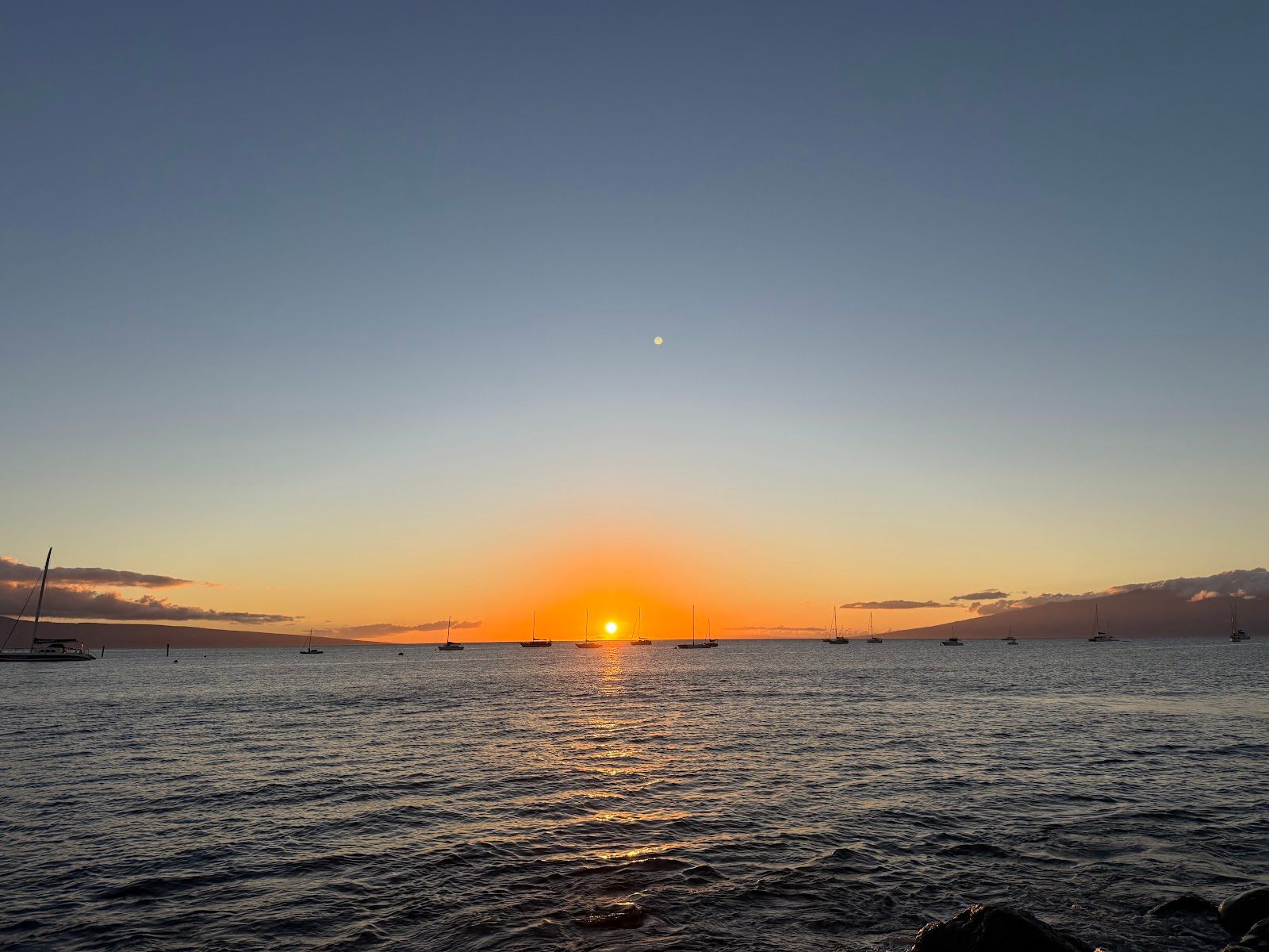 Photo 6 of Mala Ocean Tavern in Lāhainā, Maui