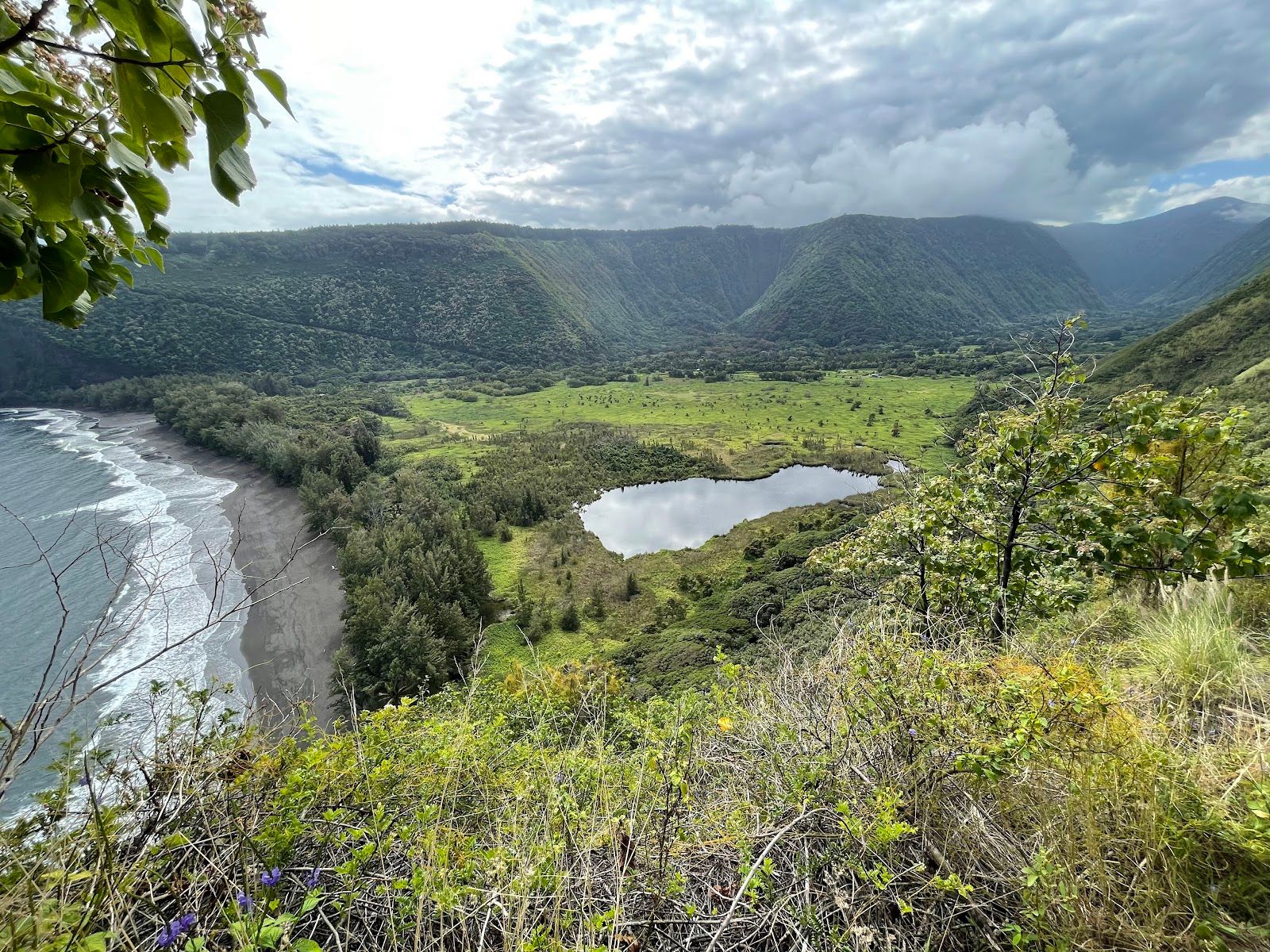 Photo 1 of Muliwai Trail in Waipiʻo, Big Island