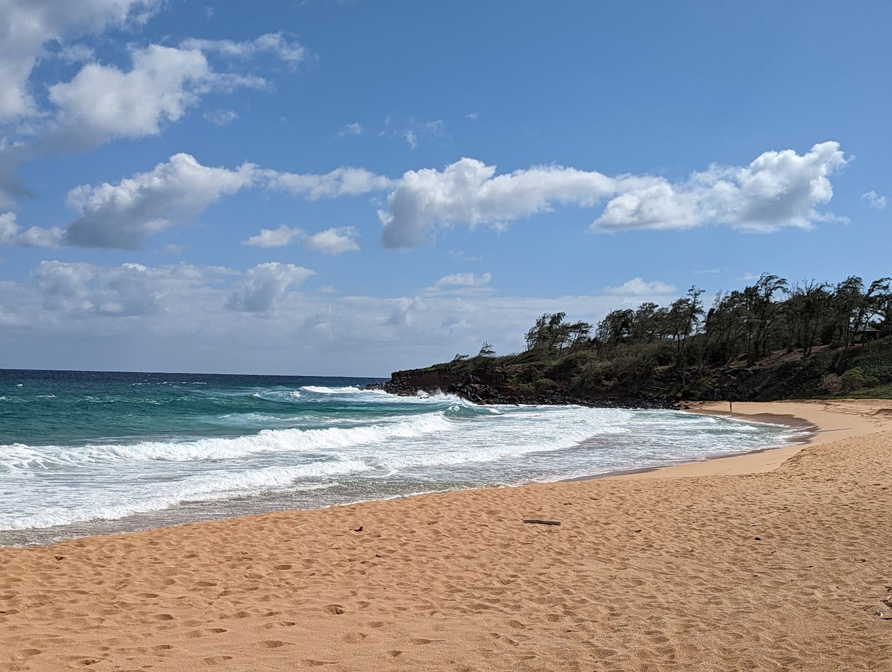 Paliku Beach (Donkey Beach) in Kapaʻa, Kaua‘i photo 6