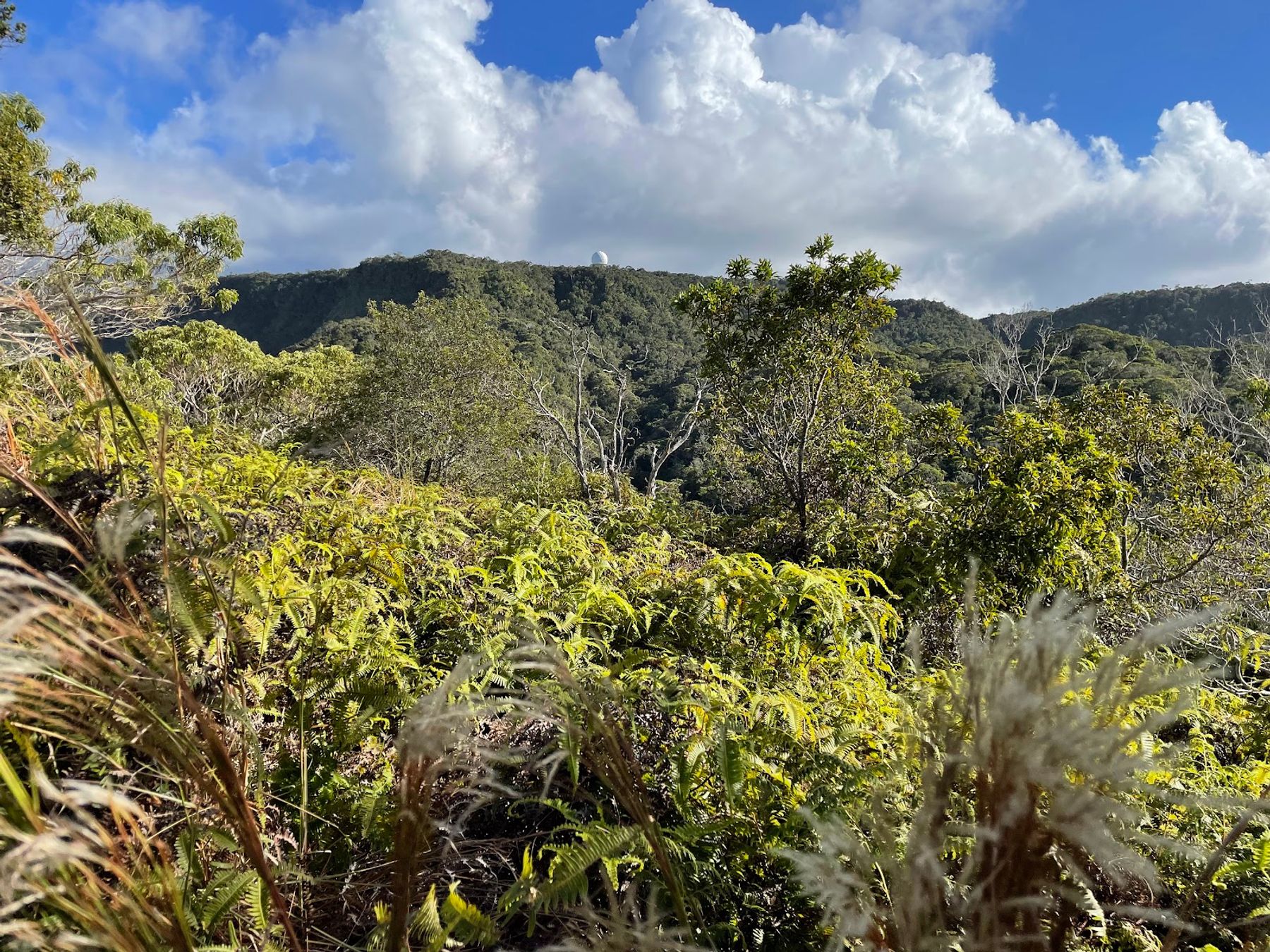 Kalalau Lookout in Waimea, Kaua‘i photo 4
