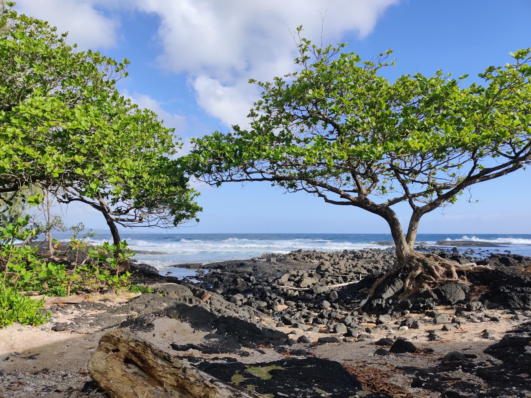 Photo 4 of Onekahakaha Beach Park in Hilo, Big Island