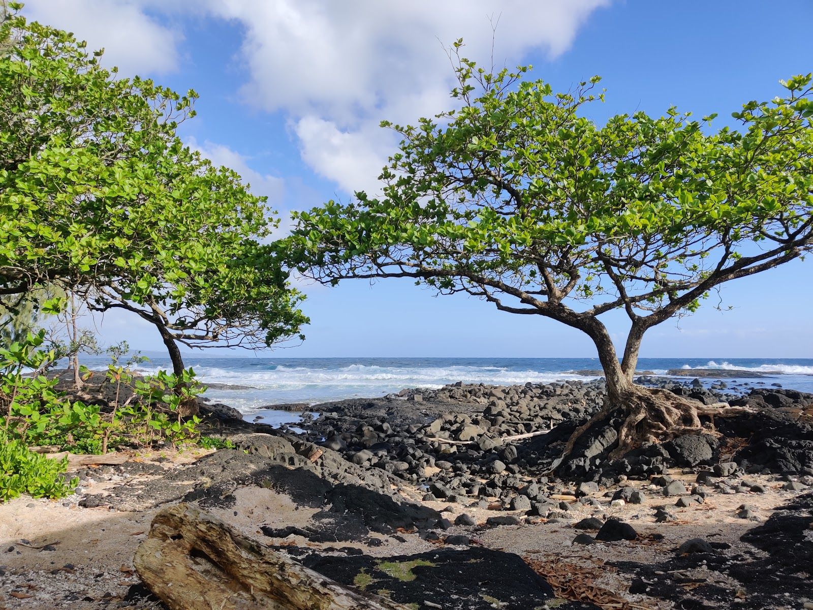 Photo 4 of Onekahakaha Beach Park in Hilo, Big Island