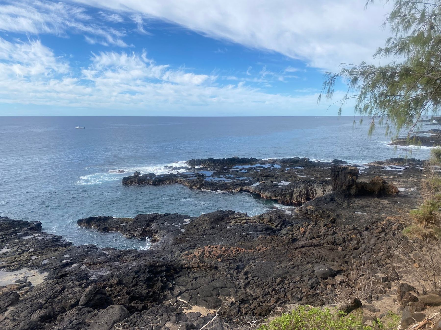 Photo 7 of Clark's Hawaii Tours in Kailua-Kona, Big Island
