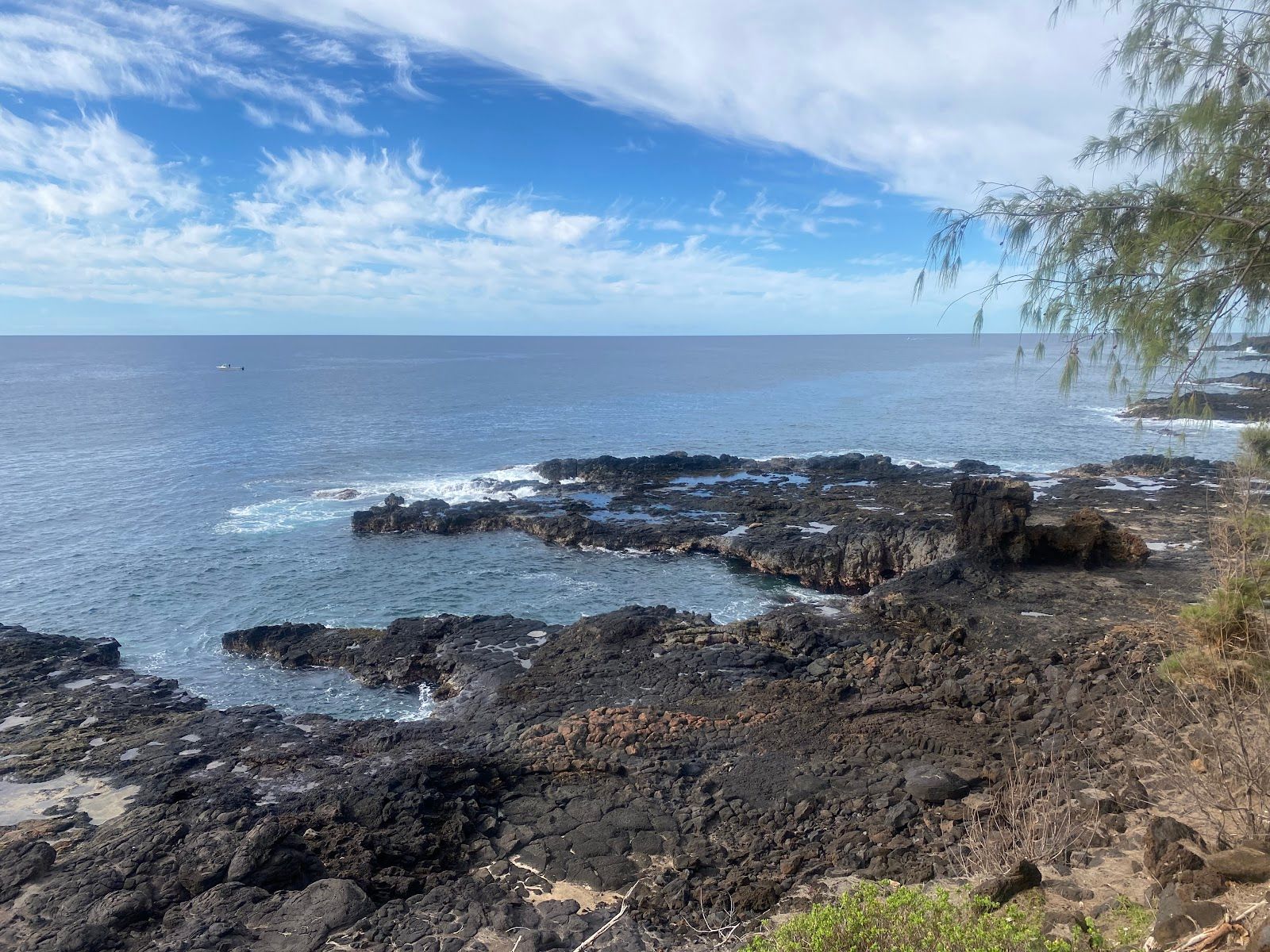 Photo 7 of Clark's Hawaii Tours in Kailua-Kona, Big Island