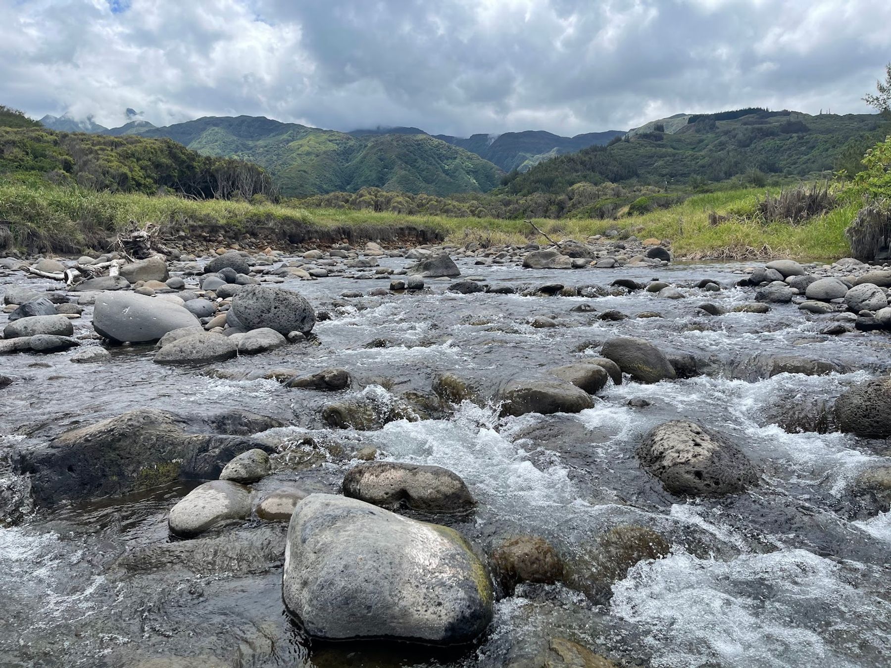Photo 1 of Waihe‘e Coastal Dunes and Wetlands Refuge in Wailuku, Maui