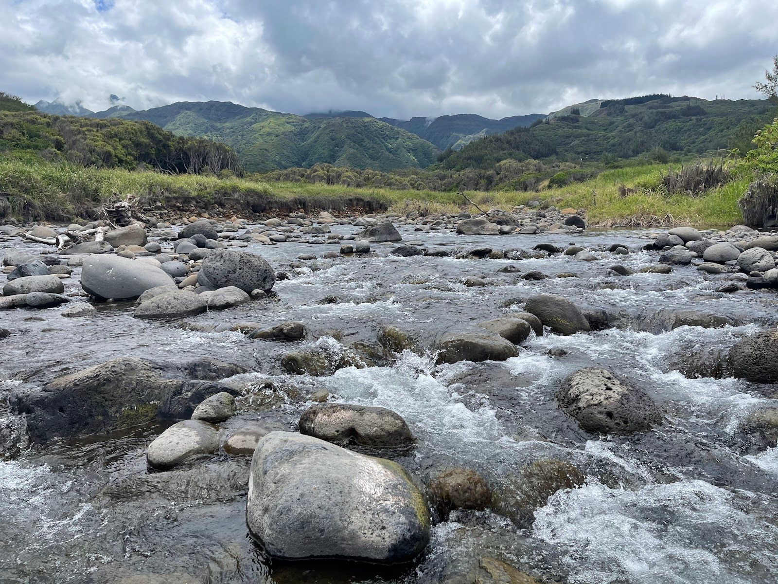 Photo 1 of Waihe‘e Coastal Dunes and Wetlands Refuge in Wailuku, Maui