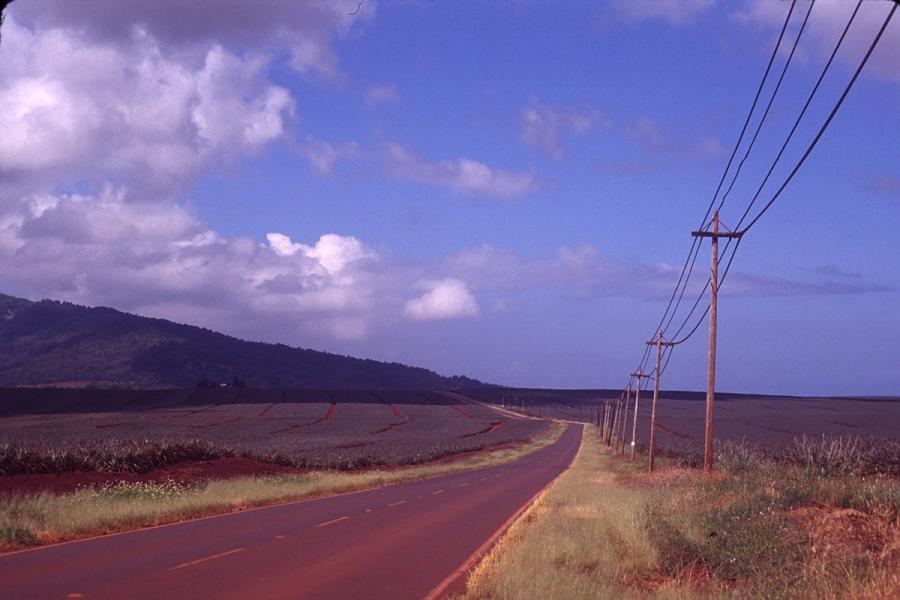 Two-lane road curving through agricultural fields with utility poles, a hillside, and scattered clouds overhead in Wahiawā, Oʻahu.