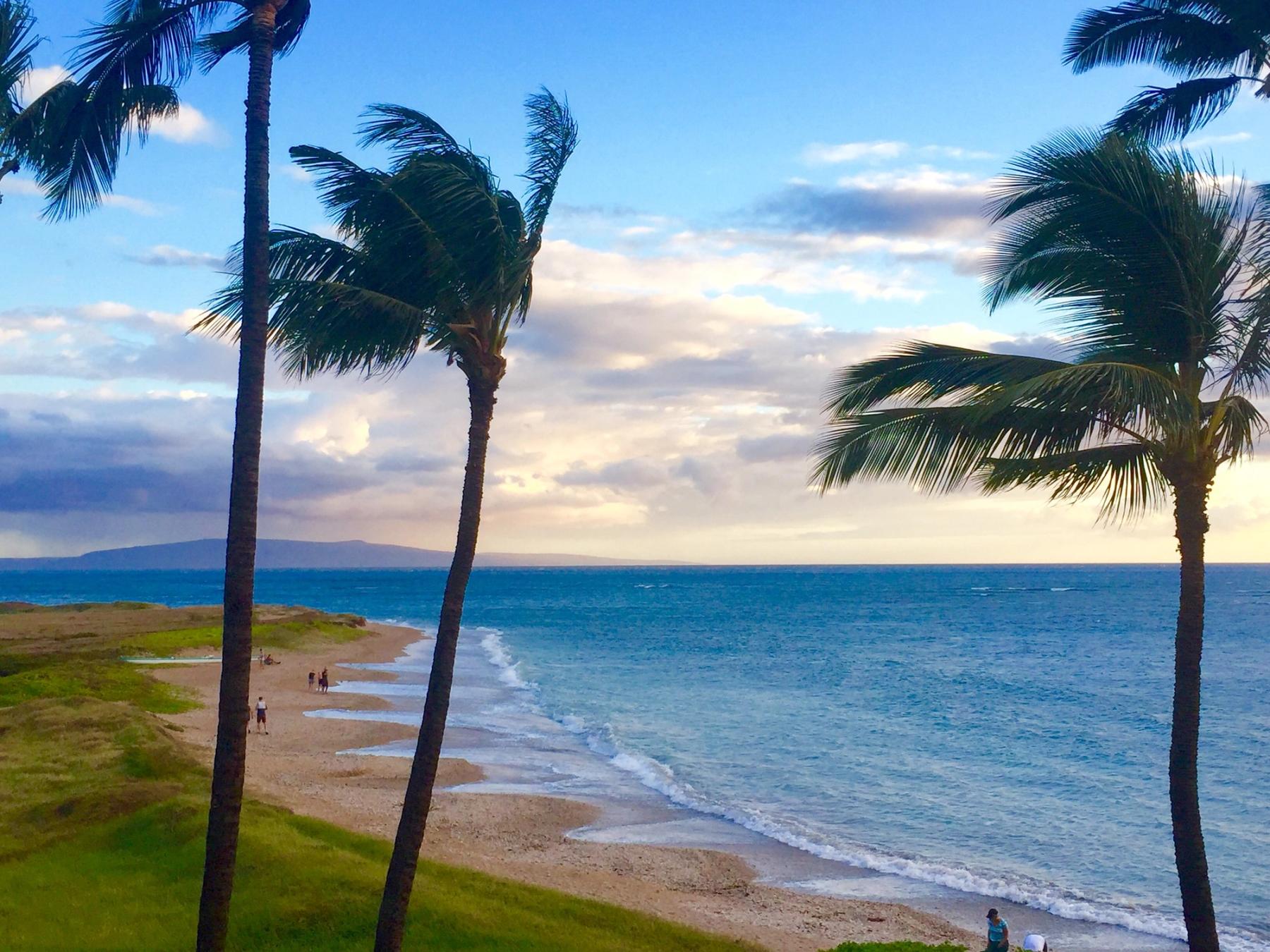 Palm trees frame a sandy shoreline with small waves and a few people walking along the beach in Kīhei, Maui under a cloudy sky.
