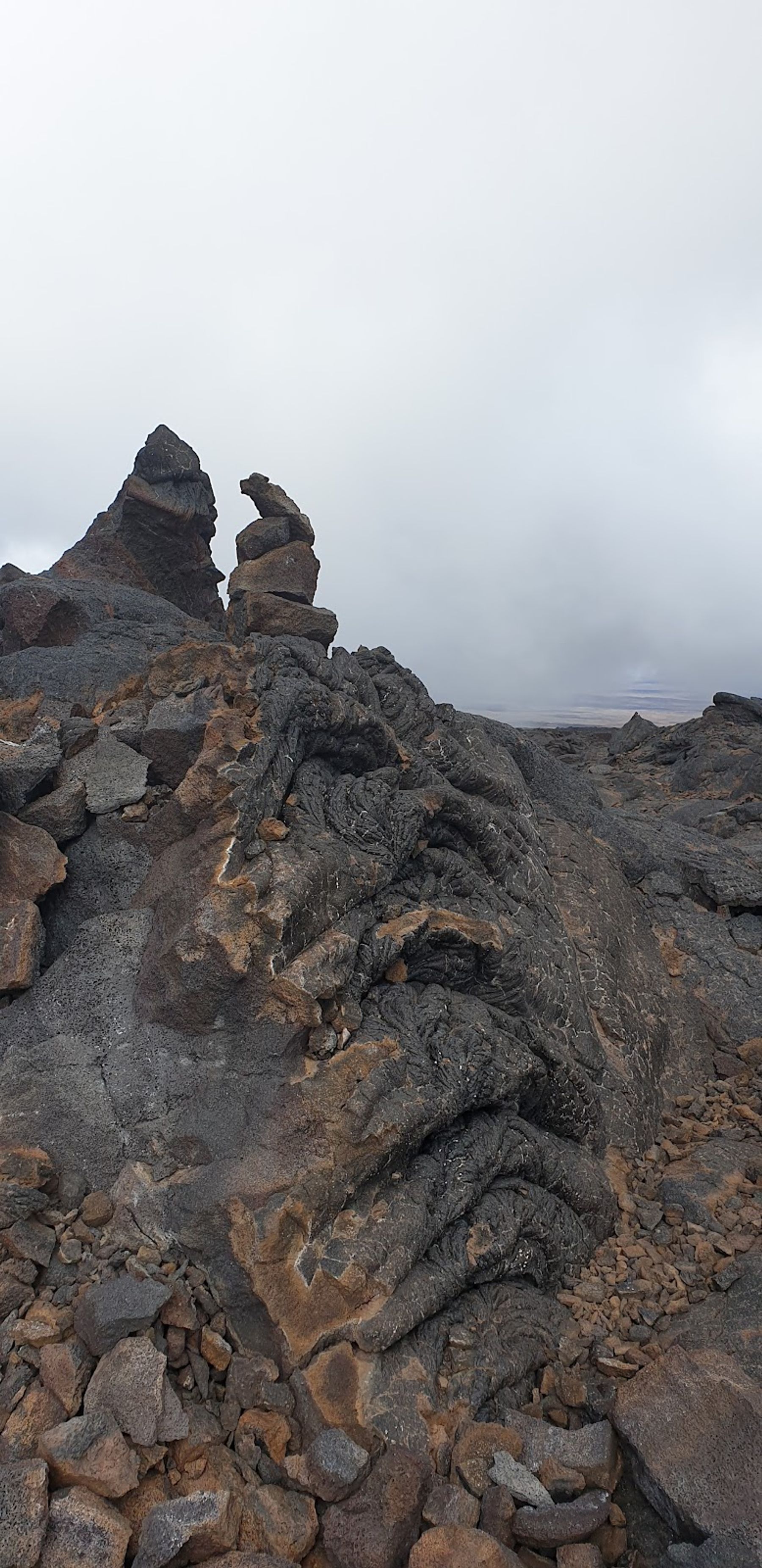 Photo 6 of Mauna Loa Summit Trail in Mauna Loa Summit, Big Island