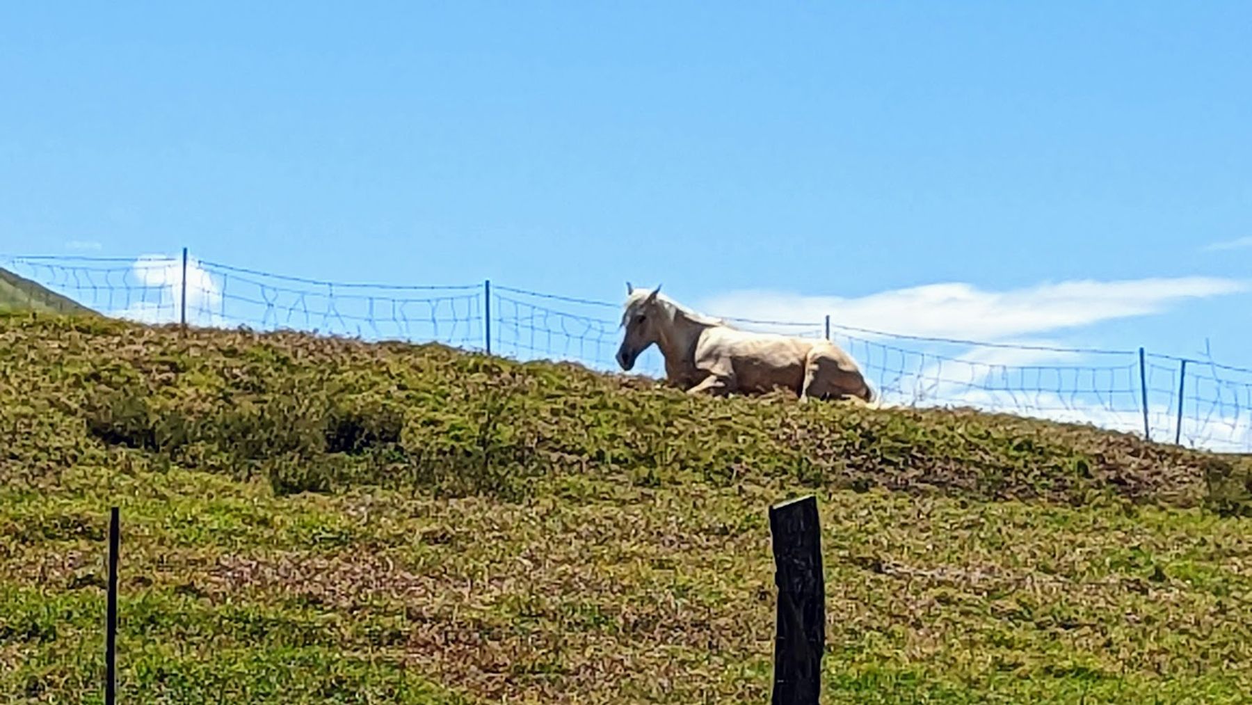 Photo 4 of Kahua Ranch Ltd in Waimea, Big Island