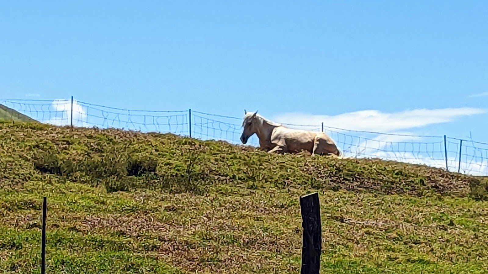 Photo 4 of Kahua Ranch Ltd in Waimea, Big Island