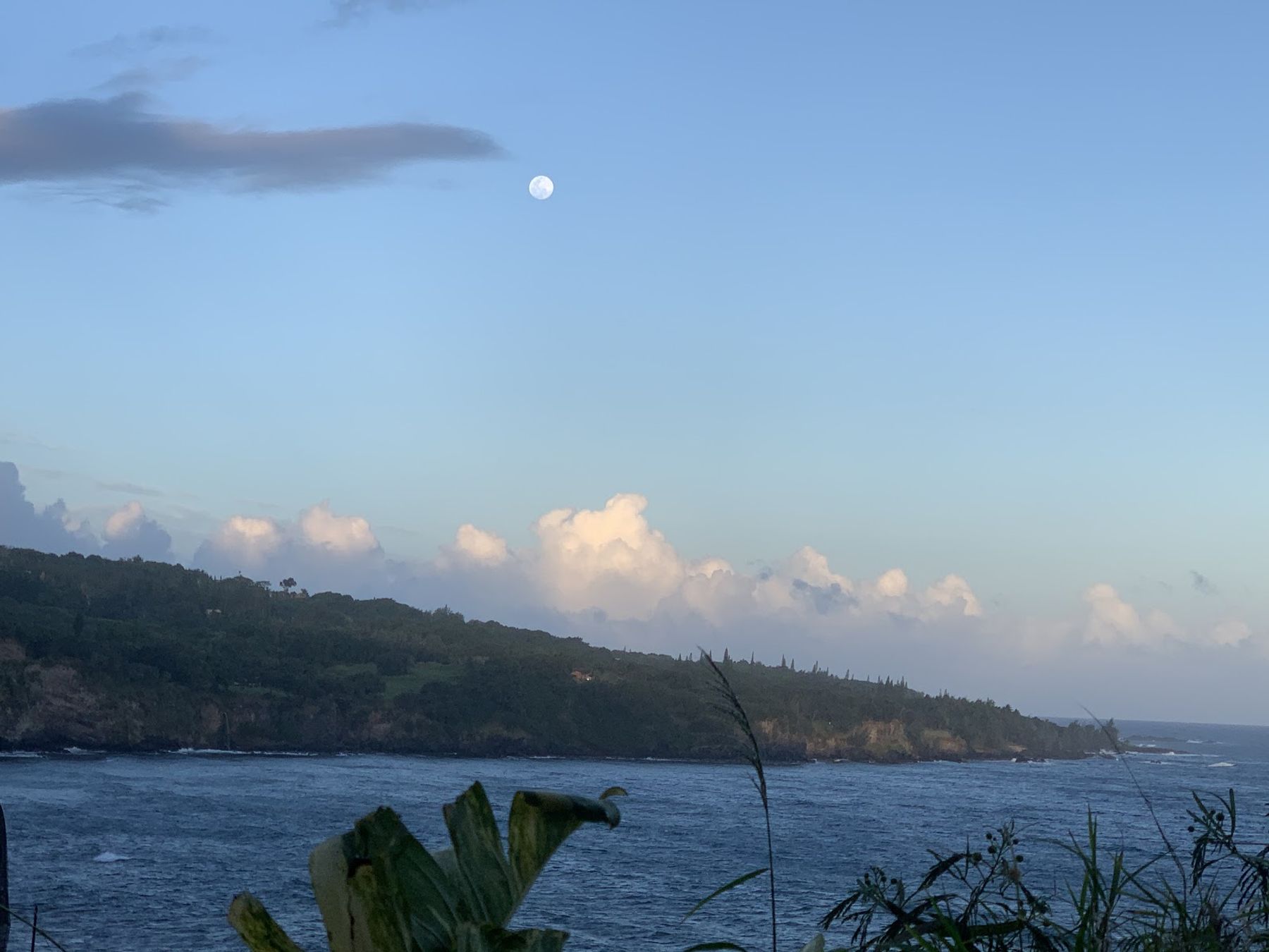 Photo 8 of Memorable Maui Tours in Wailea, Maui