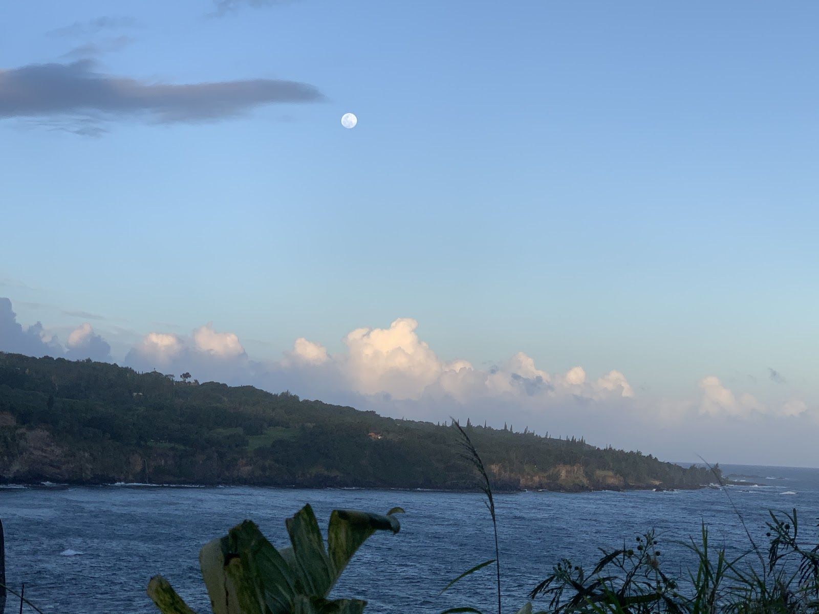 Photo 8 of Memorable Maui Tours in Wailea, Maui