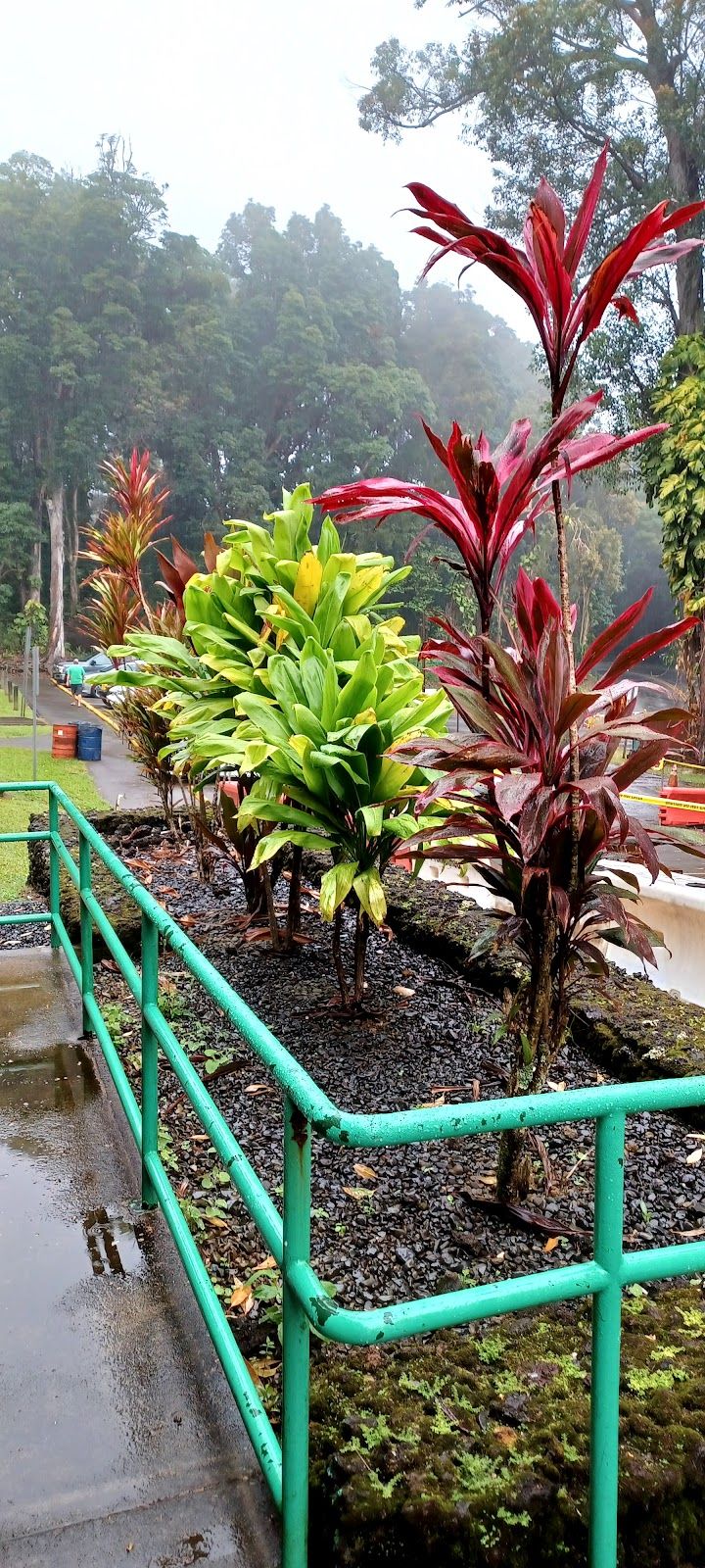 Photo 5 of Kaumahina State Wayside Park in Keʻanae-Nāhiku, Maui