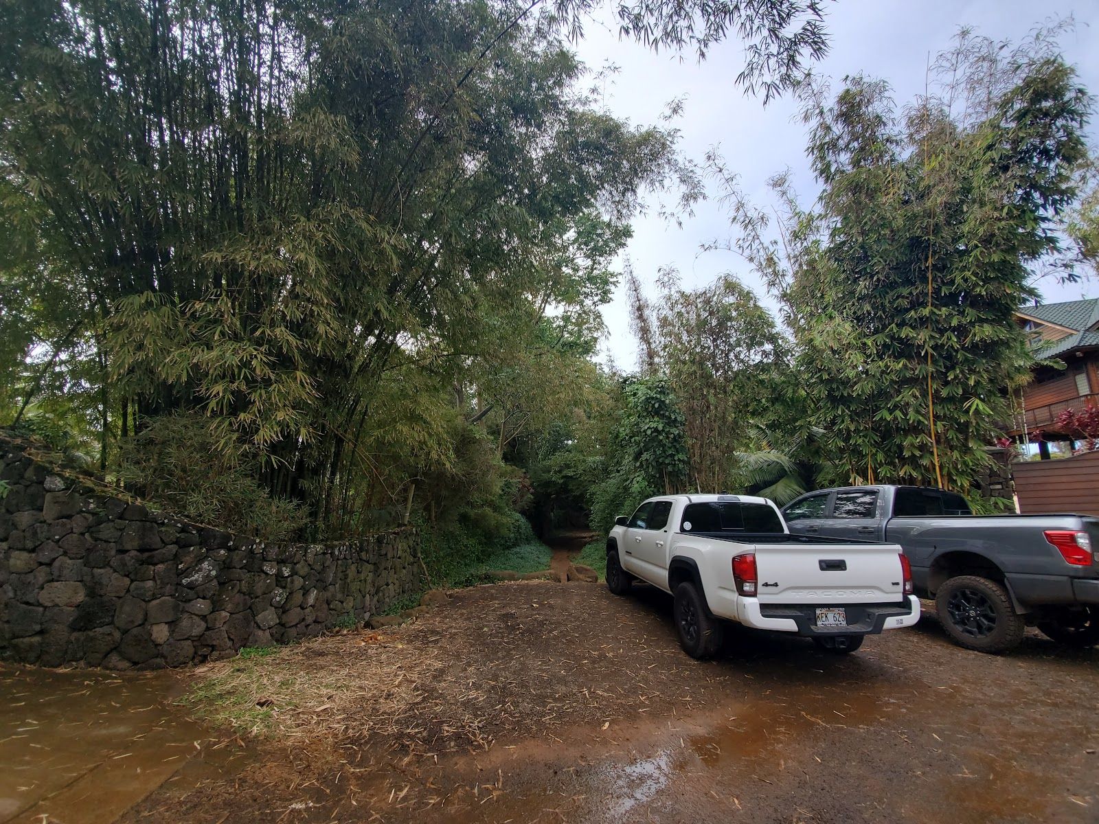 Kauapea Beach in Kīlauea, Kaua‘i photo 5