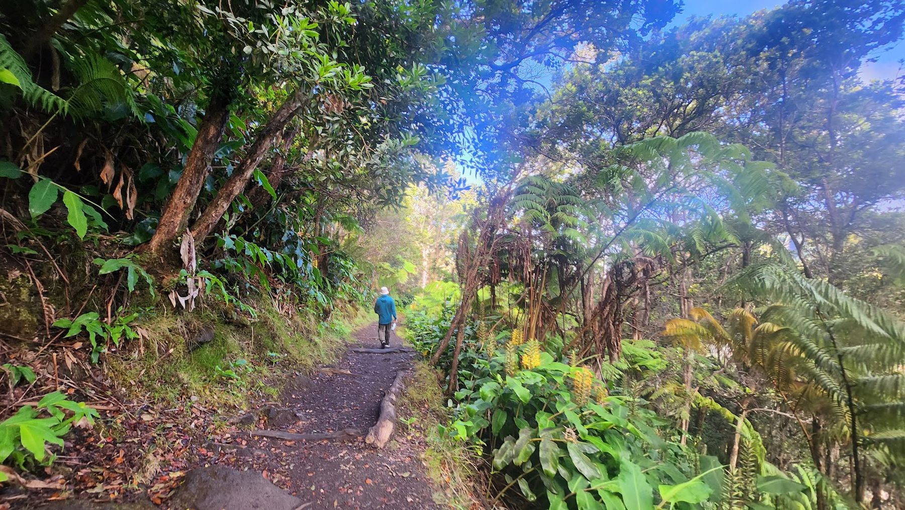 Photo 4 of Kīlauea Iki Trailhead in Volcano, Big Island