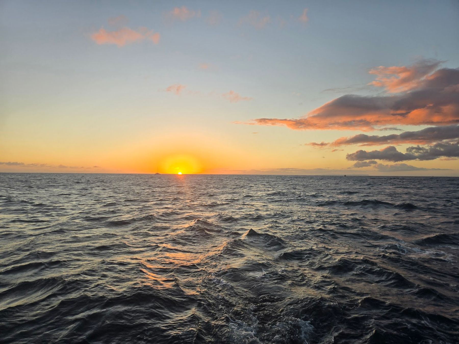 Holo Holo Charters in Eleele, Kaua‘i photo 3