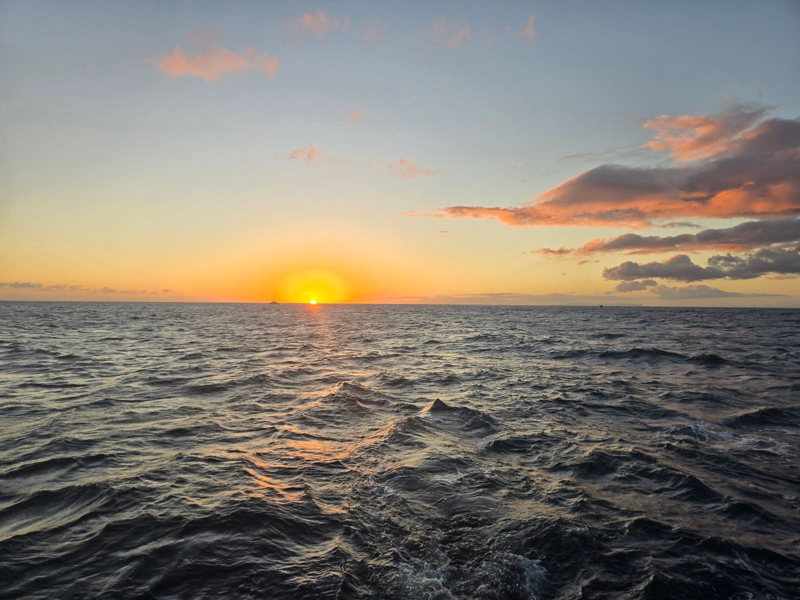 Holo Holo Charters in Eleele, Kaua‘i photo 3