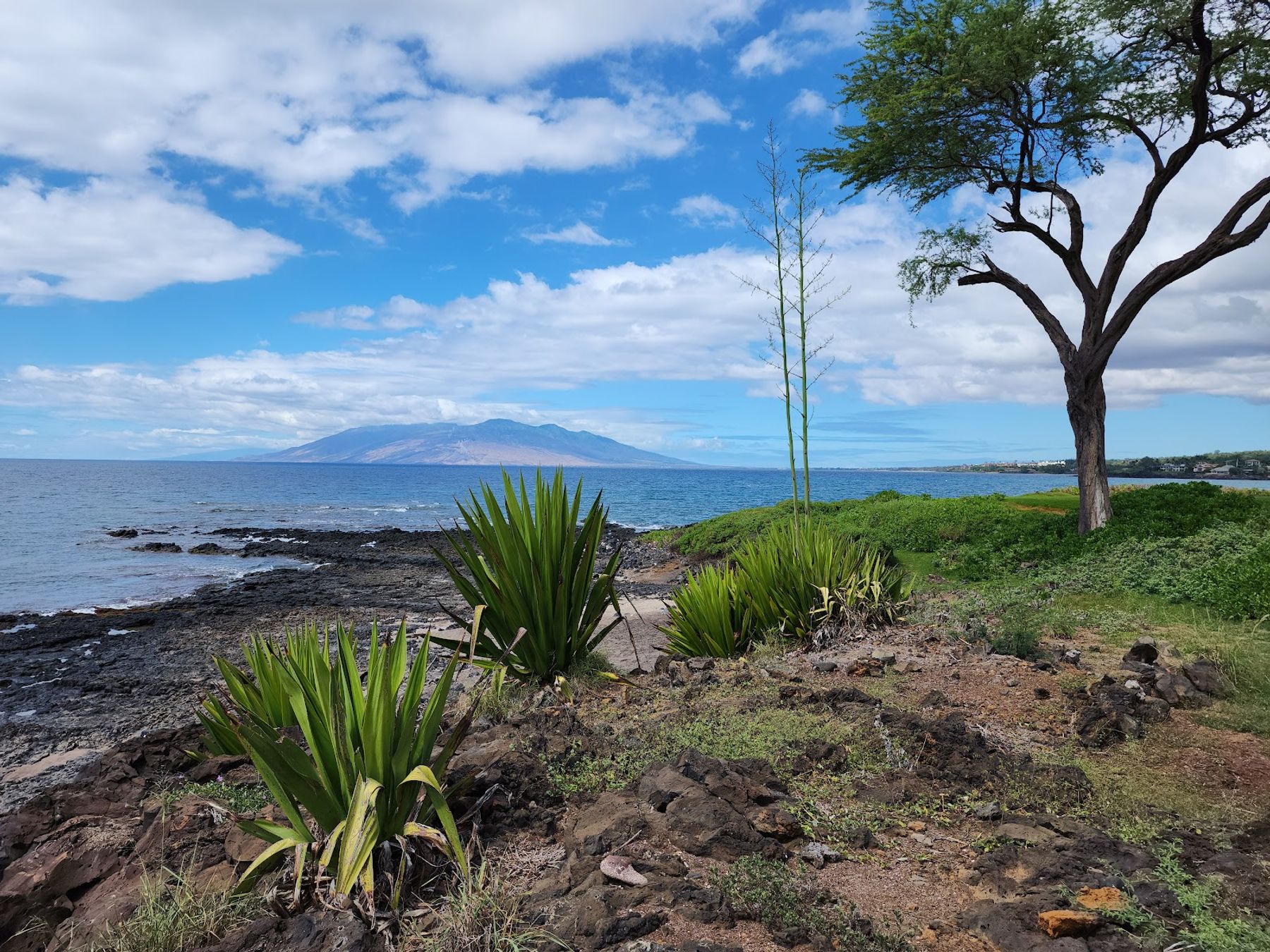 Photo 4 of Maluaka Beach in Mākena, Maui