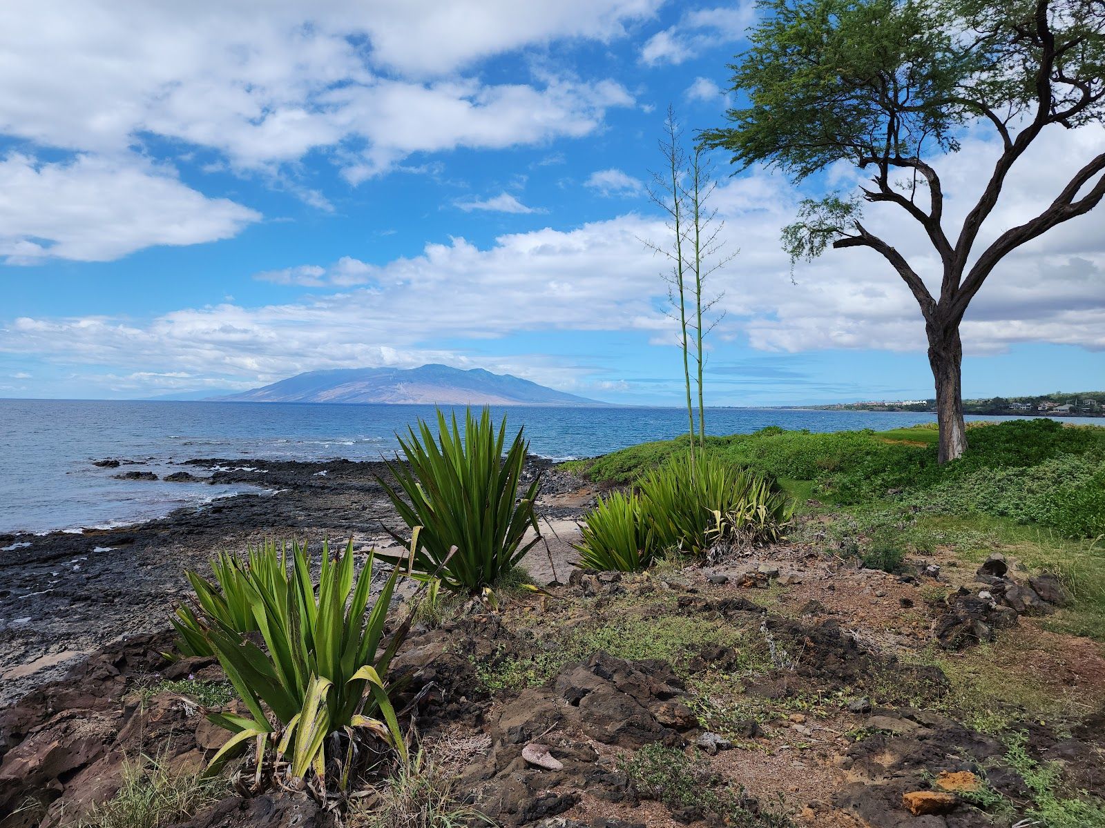 Photo 4 of Maluaka Beach in Mākena, Maui