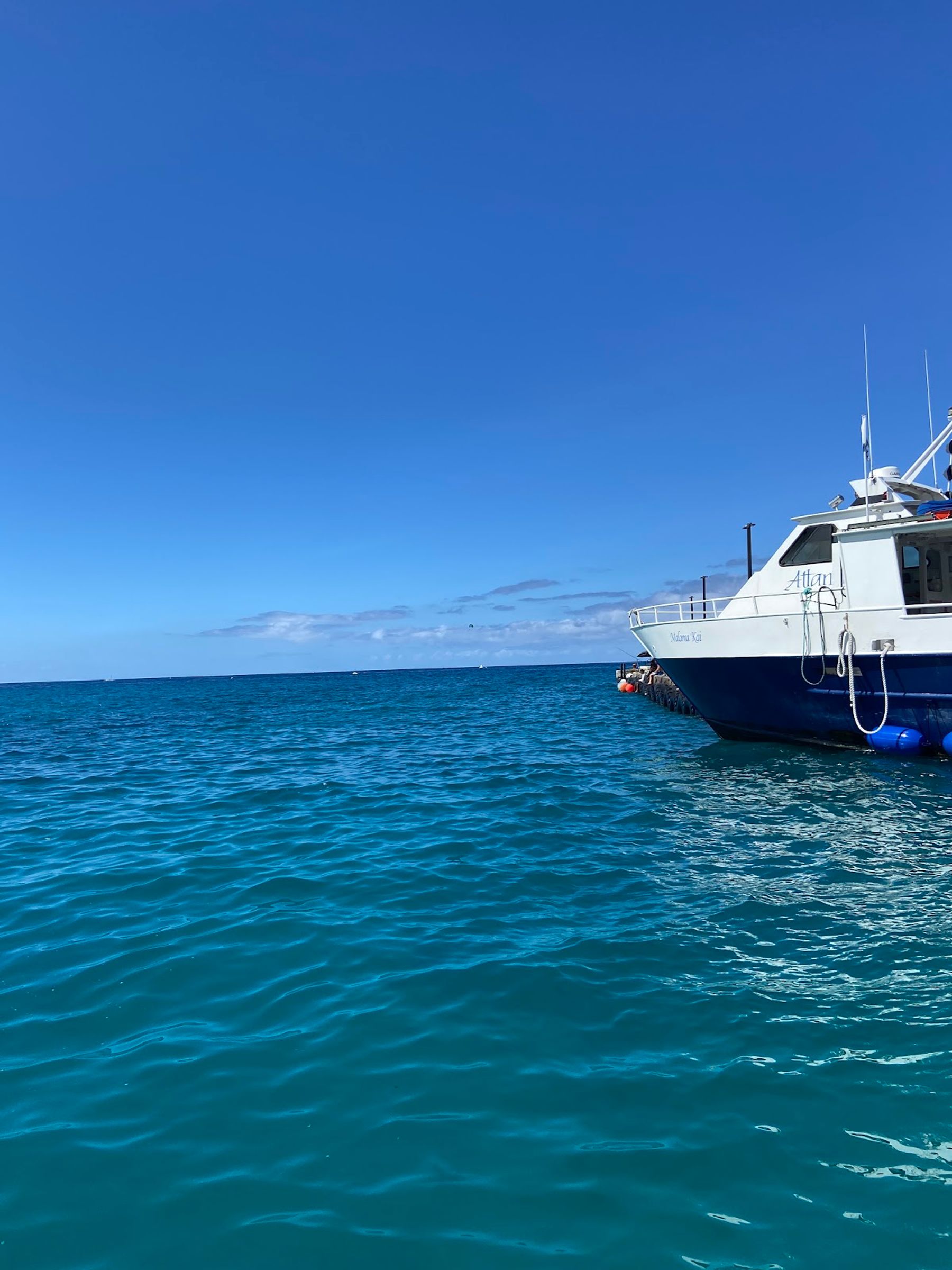 Photo 9 of Kona Glassbottom Boat in Kailua-Kona, Big Island