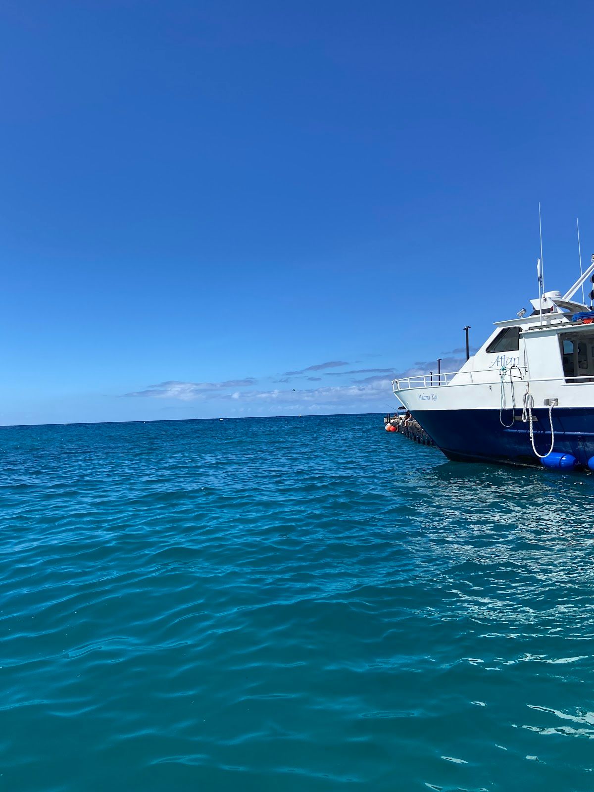 Photo 9 of Kona Glassbottom Boat in Kailua-Kona, Big Island