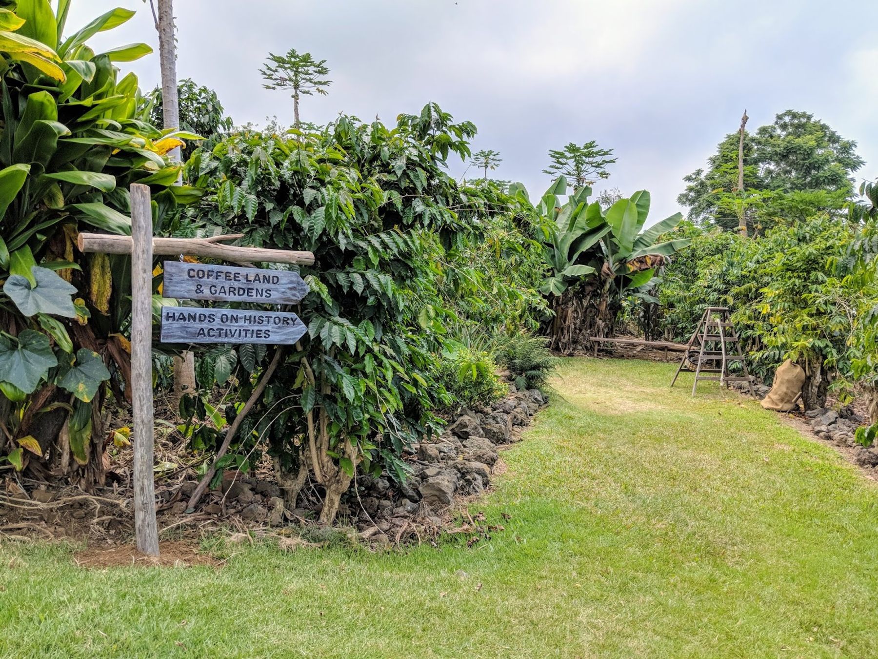 Photo 8 of Kona Coffee Living History Farm in South Kona, Big Island