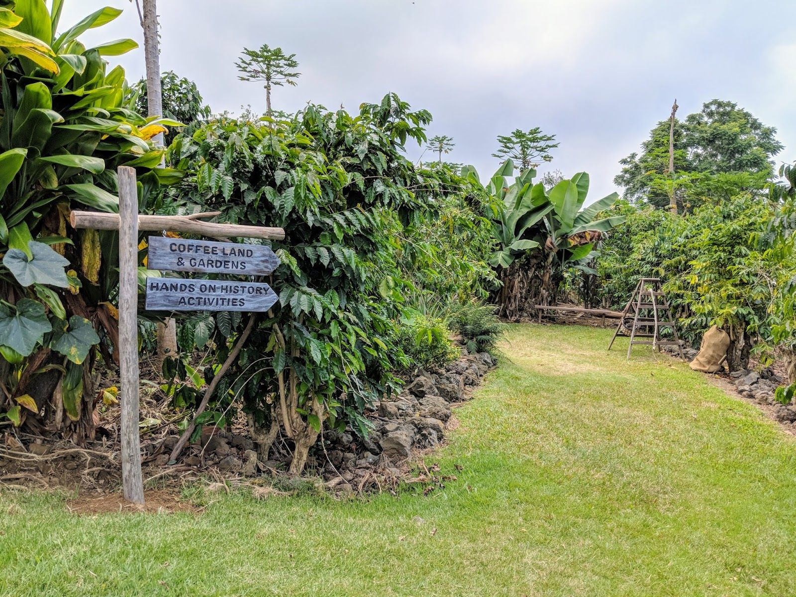 Photo 8 of Kona Coffee Living History Farm in South Kona, Big Island