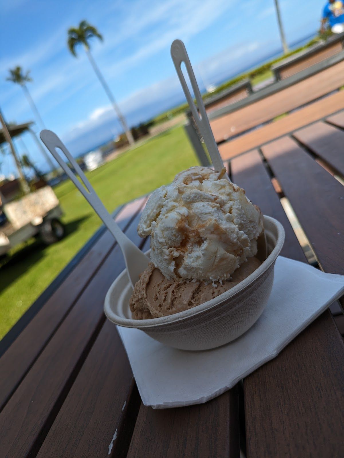 Photo 9 of Royal Scoop in Kāʻanapali, Maui