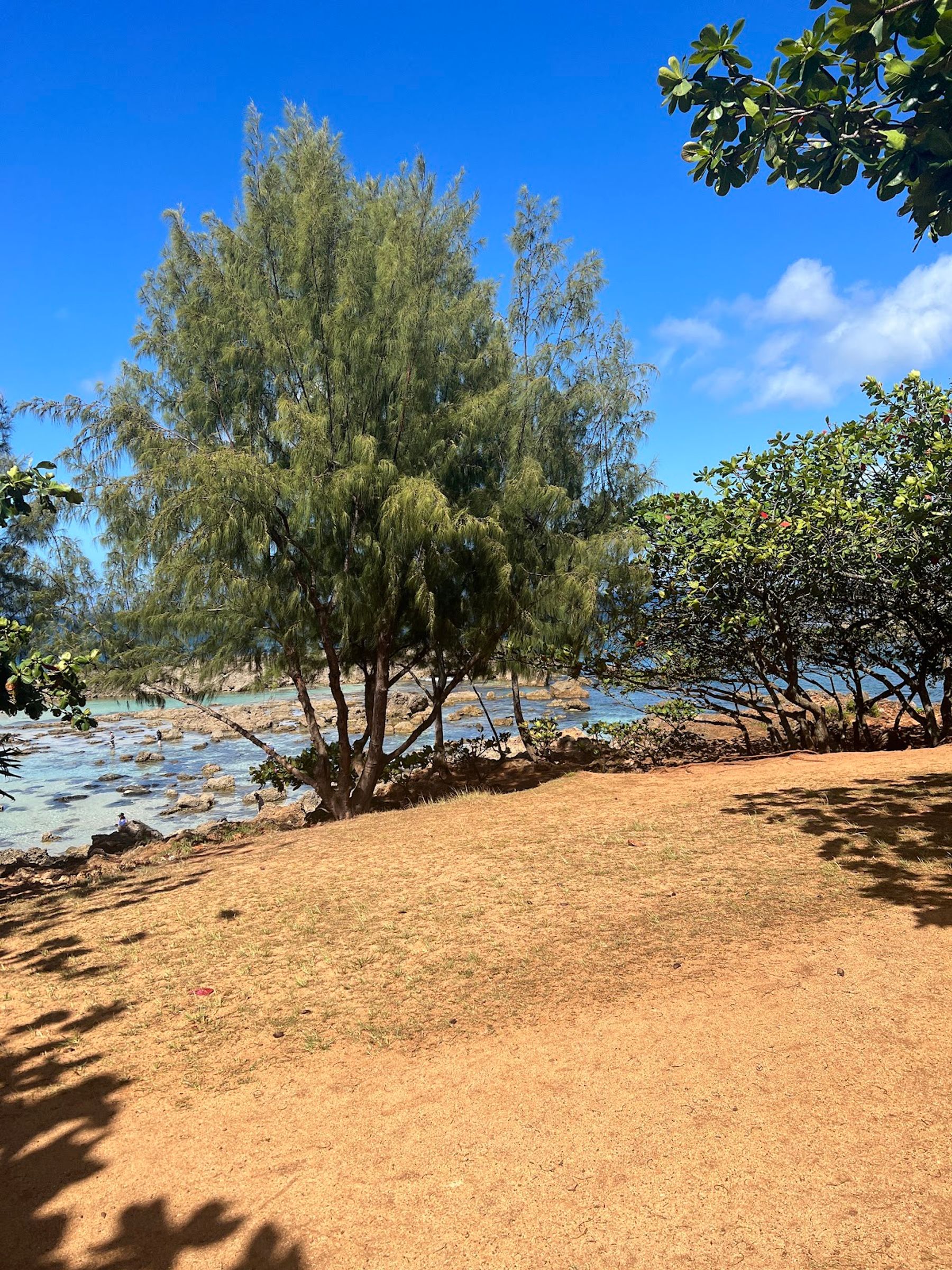 Photo 10 of Pūpūkea Beach Park in Pūpūkea, Oahu