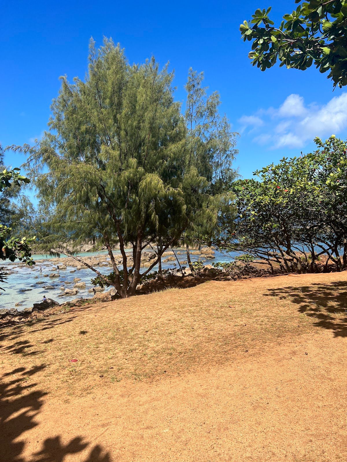 Photo 10 of Pūpūkea Beach Park in Pūpūkea, Oahu